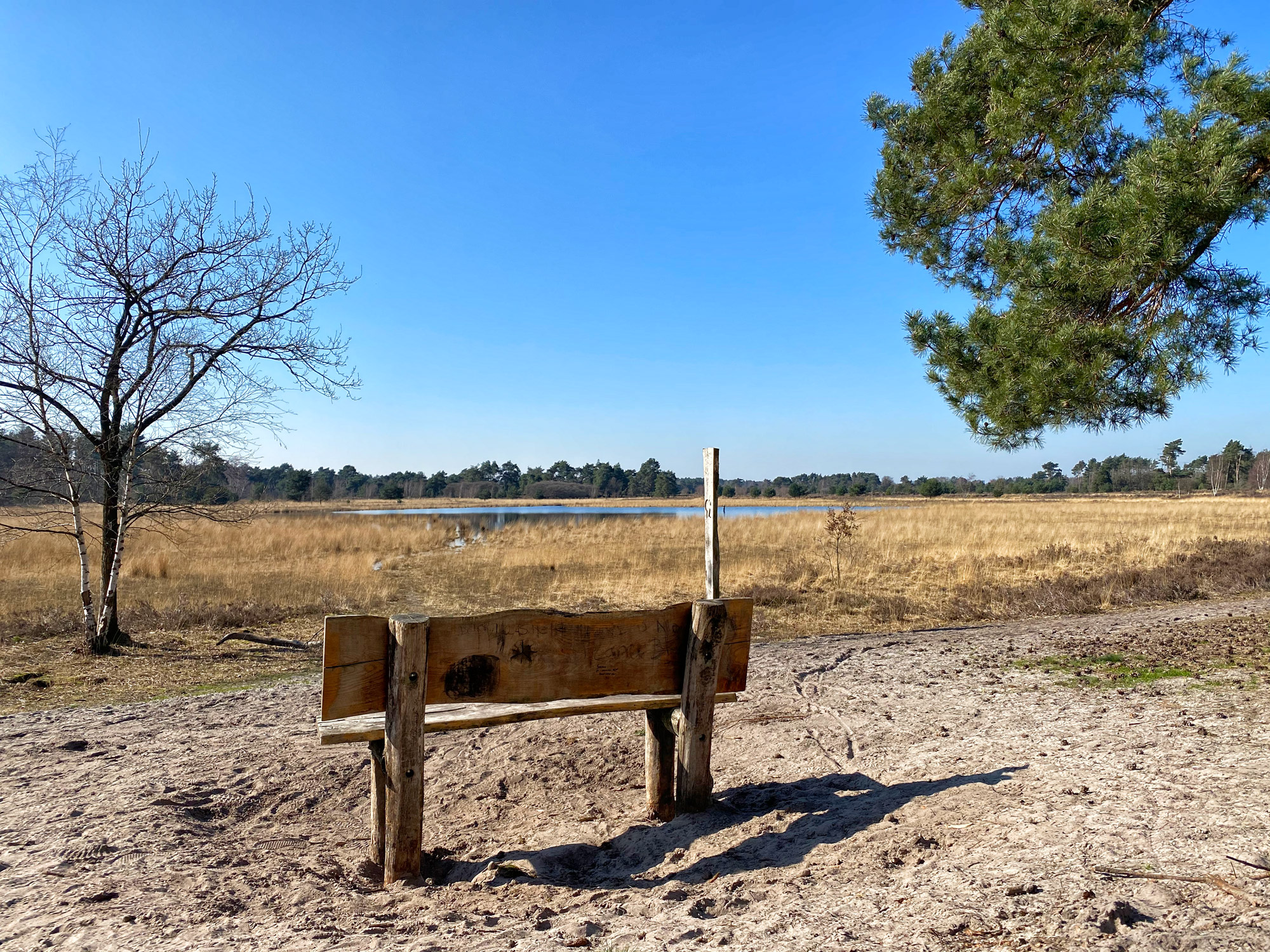 Wandelen in Noord-Brabant: Stratumse Heide & Groote Heide