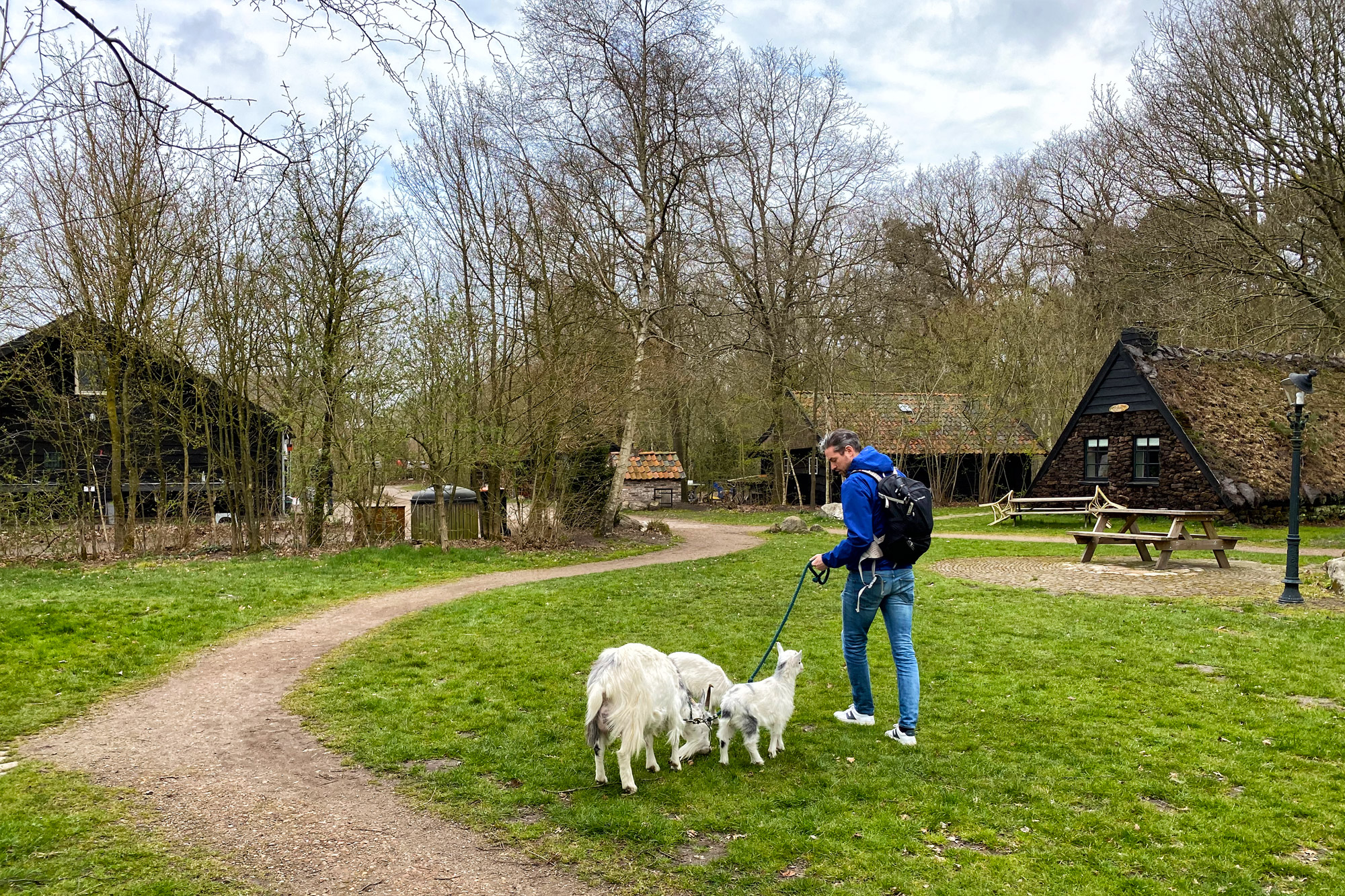 Plaggenhut met geitjes