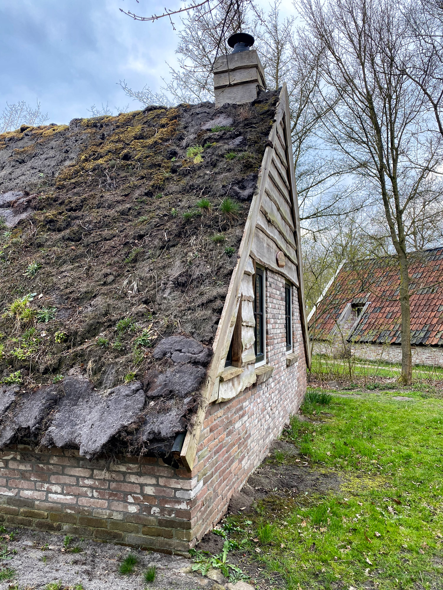 Plaggenhut met geitjes