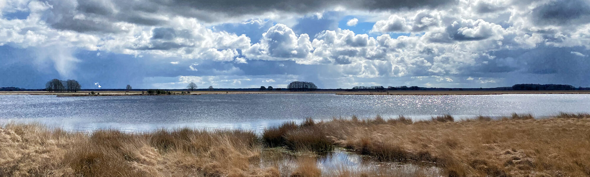 Nationaal Park Dwingelderveld - Nederland