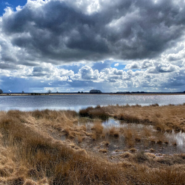 Nationaal Park Dwingelderveld - Nederland