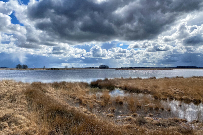 Nationaal Park Dwingelderveld - Nederland