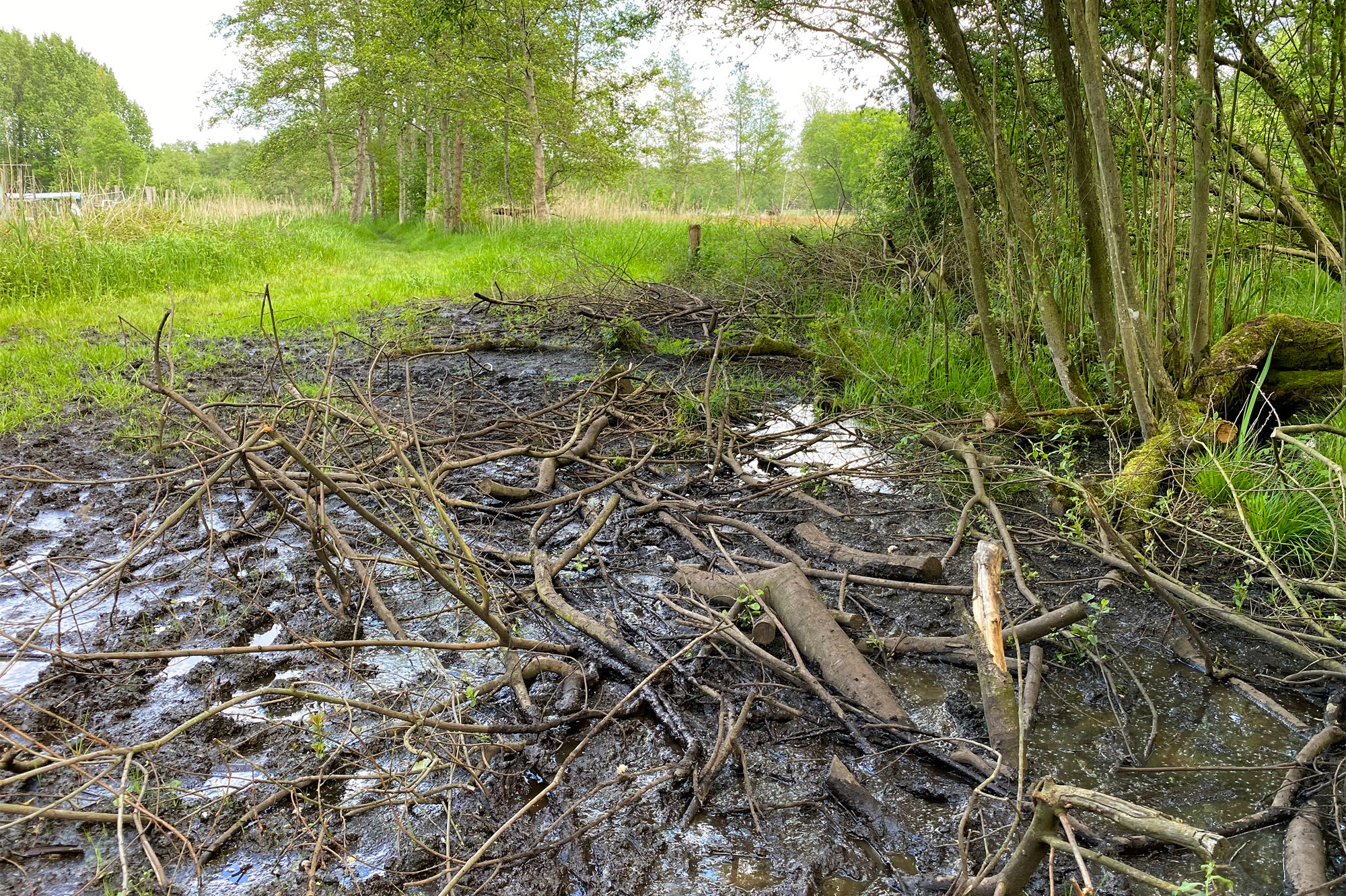 Wandelen in Noord-Brabant - Rulse Laarzenpad