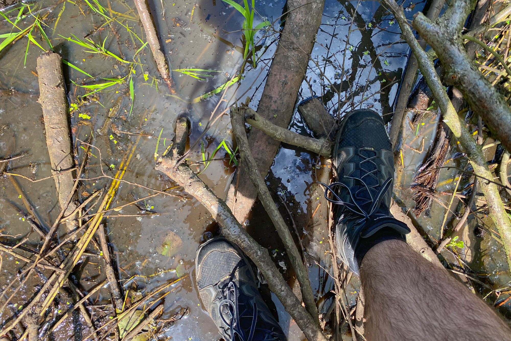 Wandelen in Noord-Brabant - Rulse Laarzenpad