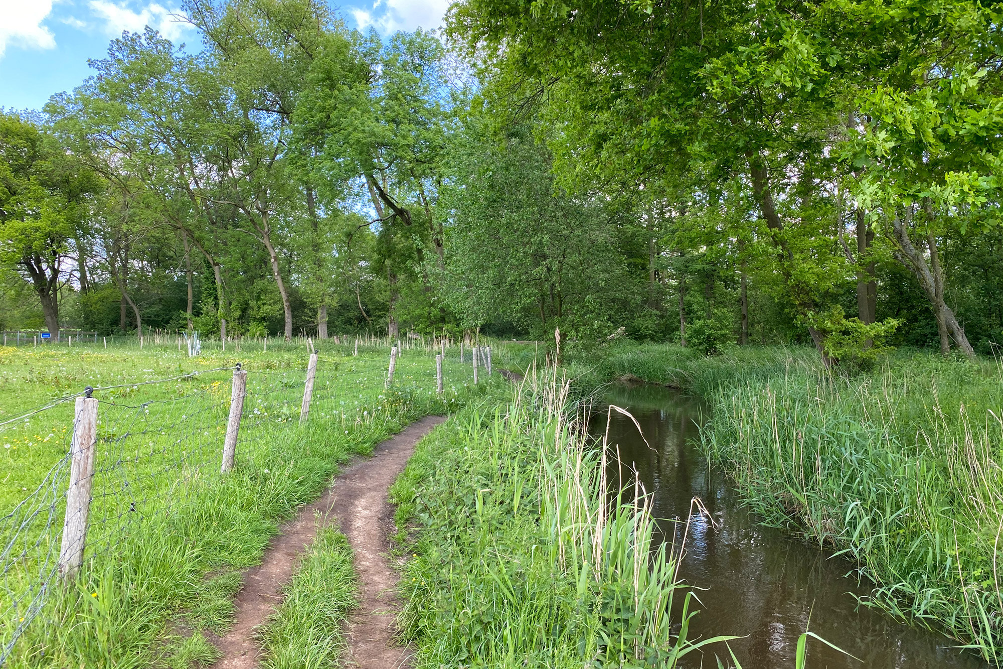 Wandelen in Noord-Brabant - Rulse Laarzenpad