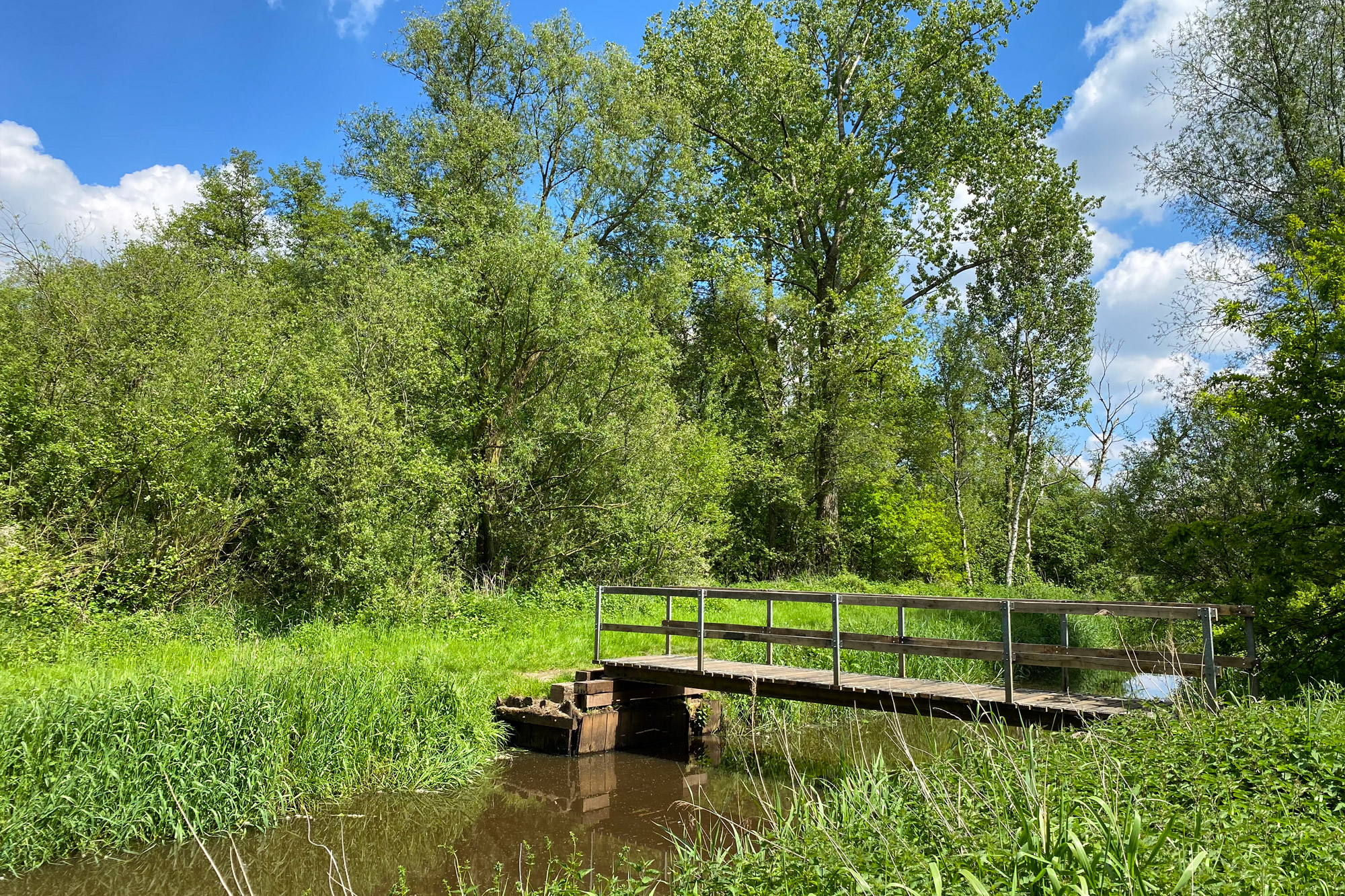 Wandelen in Noord-Brabant - Rulse Laarzenpad