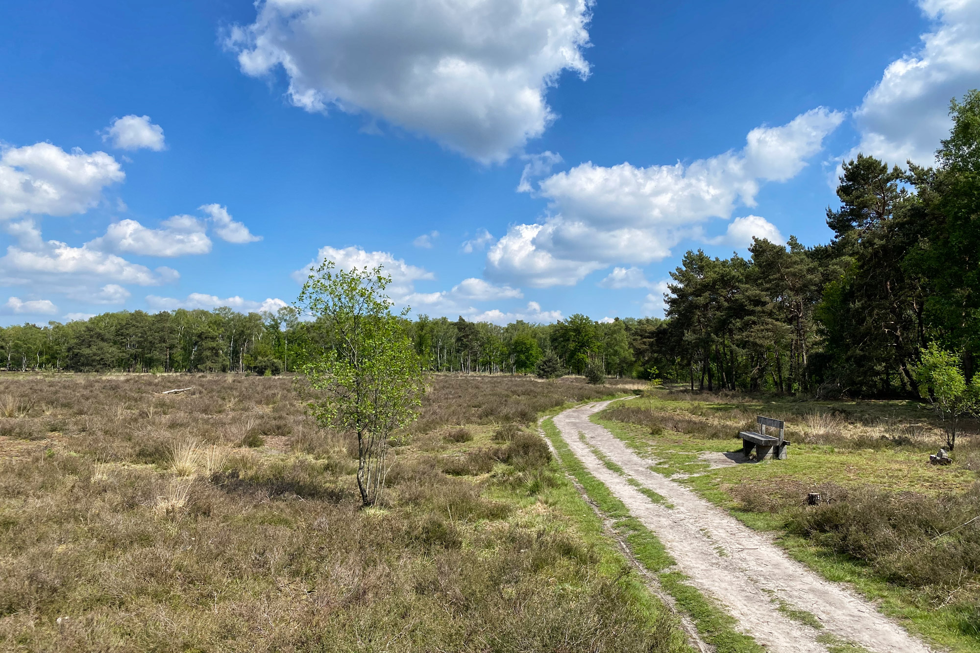 Wandelen in Noord-Brabant - Rulse Laarzenpad