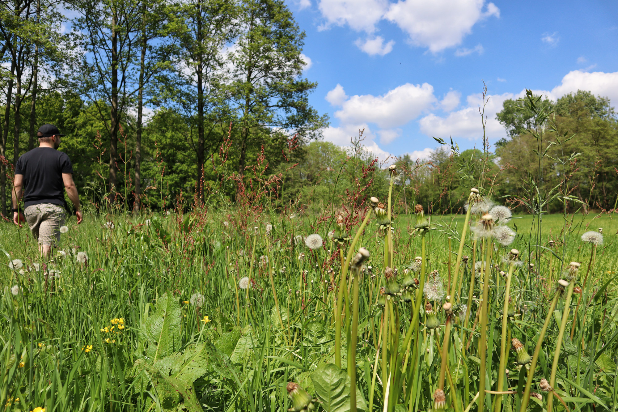 Wandelen in Noord-Brabant - Rulse Laarzenpad