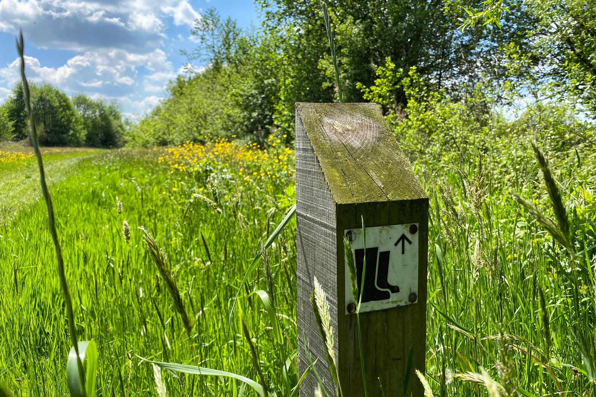 Wandelen in Noord-Brabant - Rulse Laarzenpad