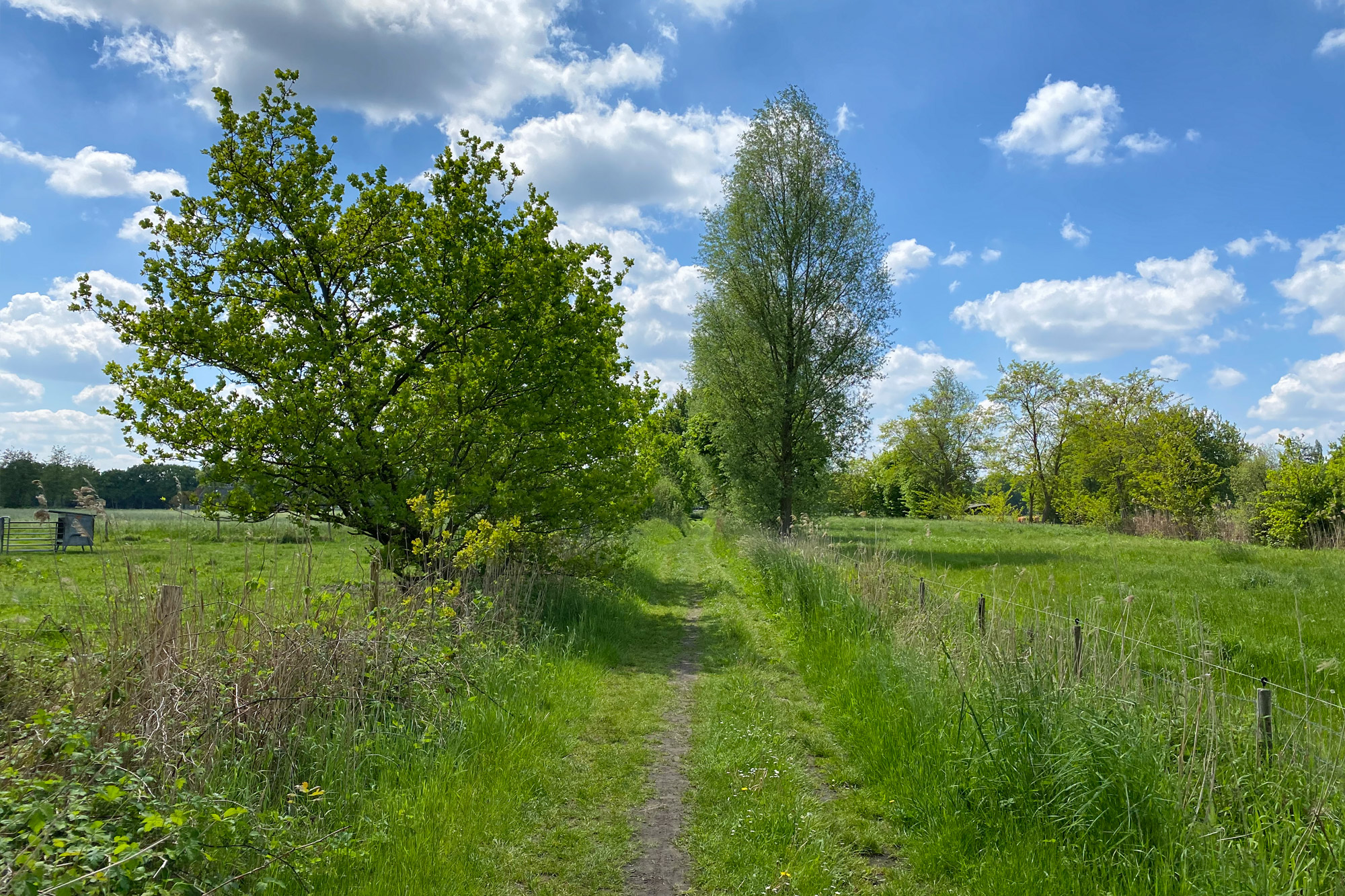 Wandelen in Noord-Brabant - Rulse Laarzenpad