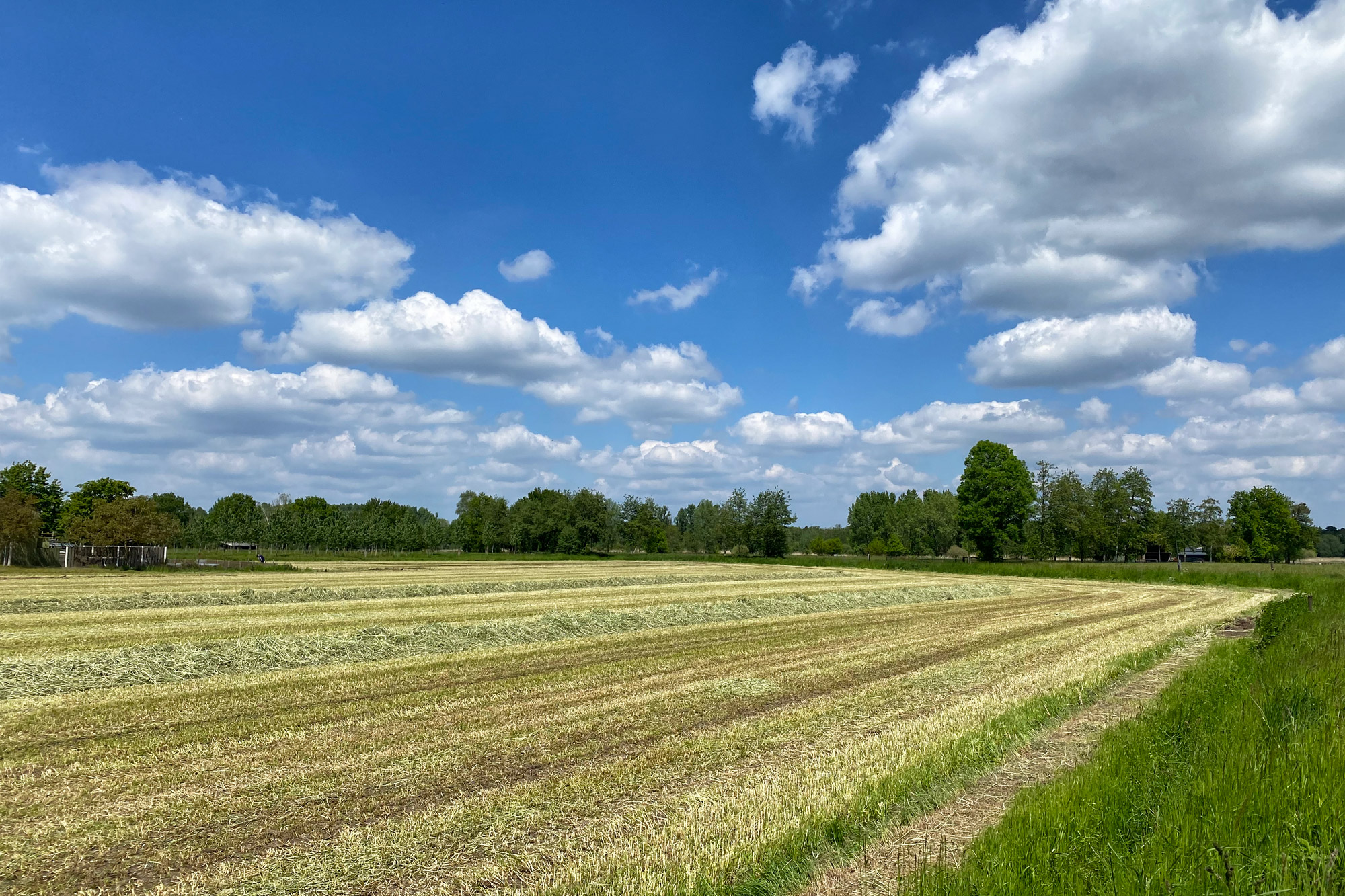 Wandelen in Noord-Brabant - Rulse Laarzenpad