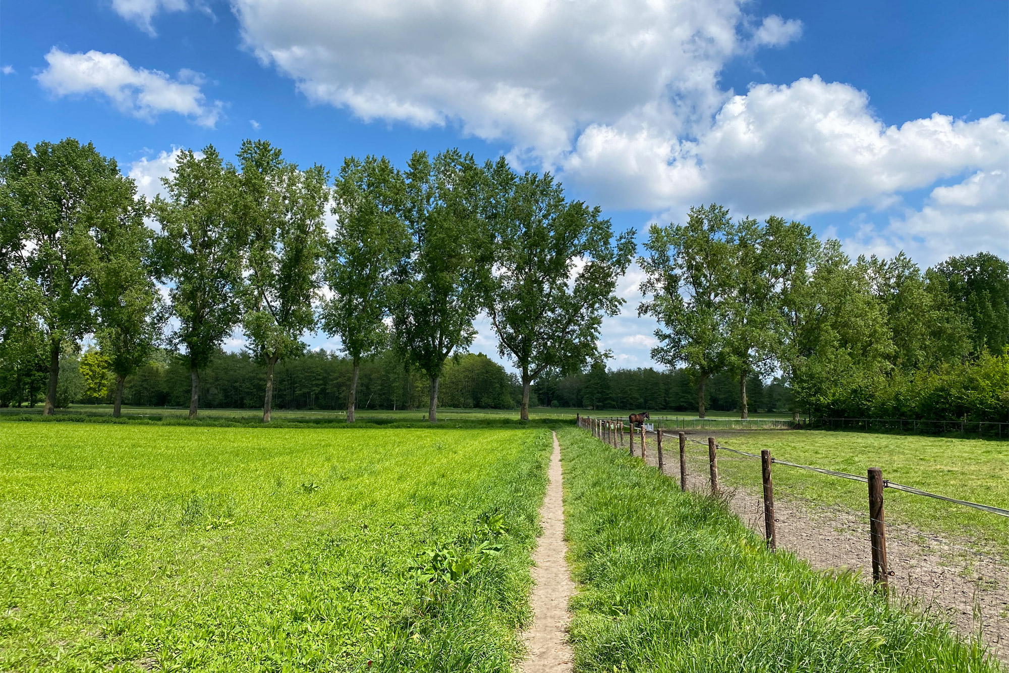 Wandelen in Noord-Brabant - Rulse Laarzenpad