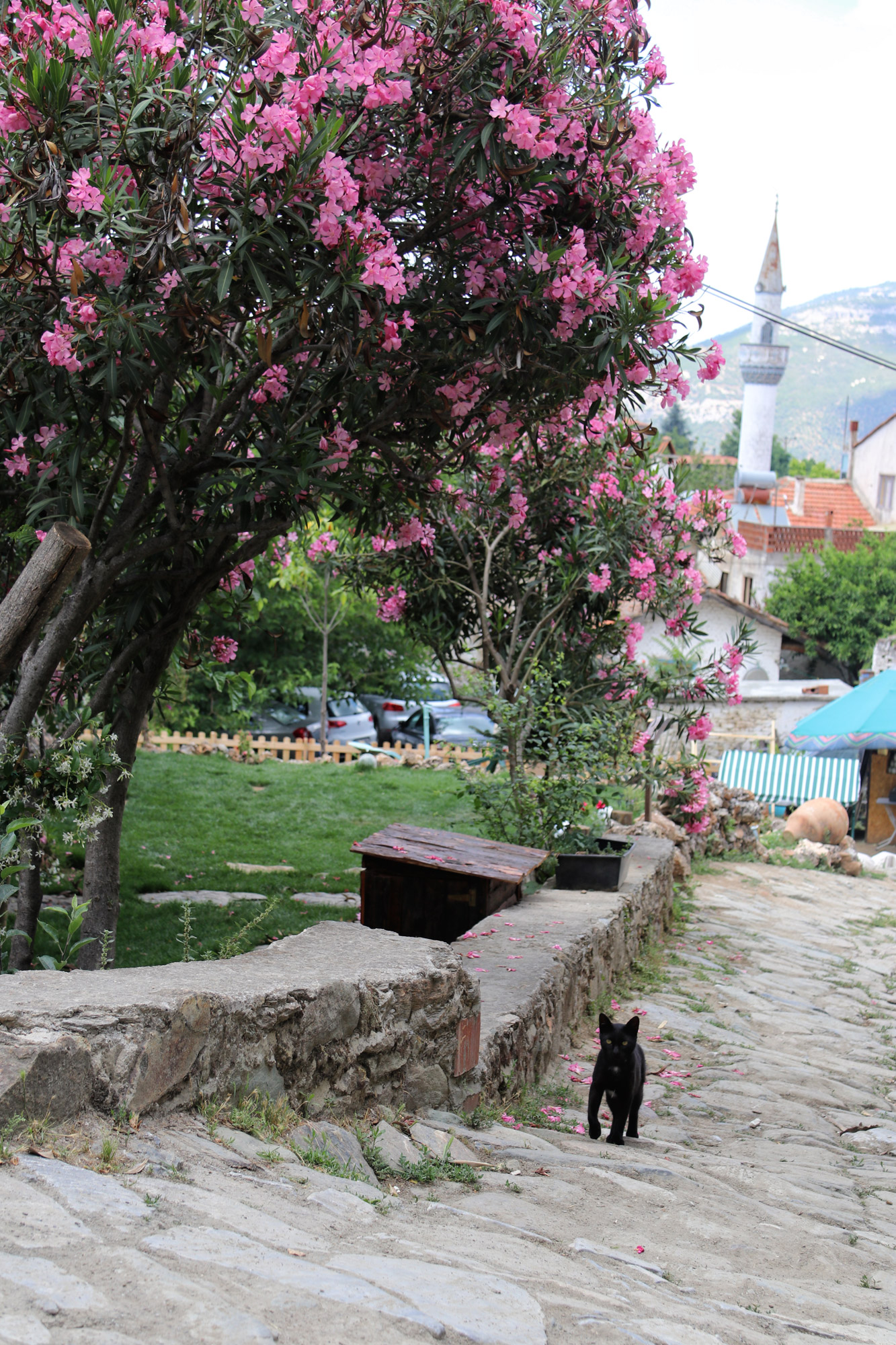 Şirince, een idyllisch wijnstadje aan de Egeïsche Kust
