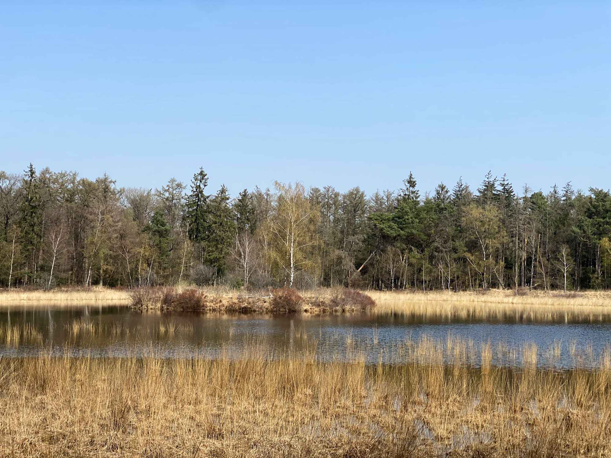 Wandelen in Noord-Brabant: Natuur bij Sterksel