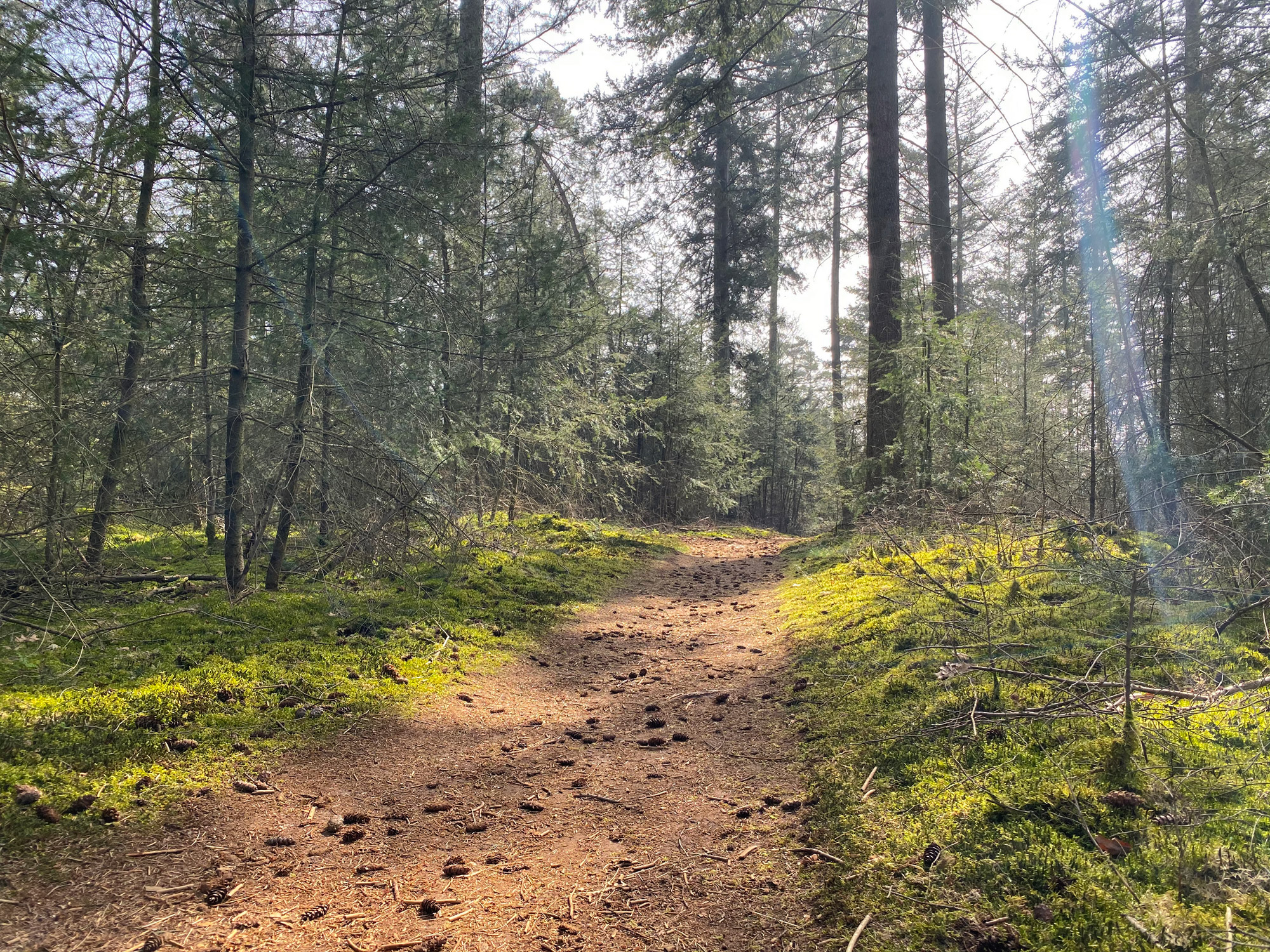 Wandelen in Noord-Brabant: Natuur bij Sterksel