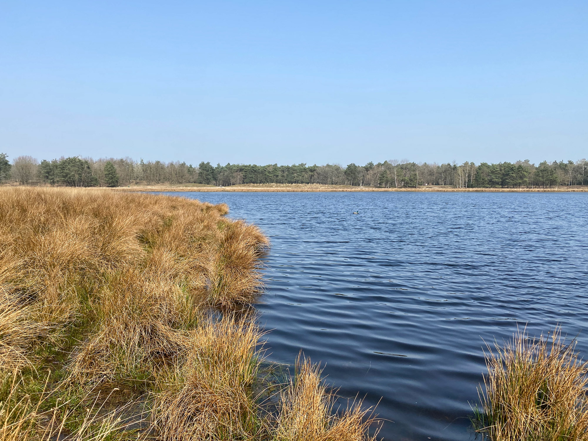 Wandelen in Noord-Brabant: Natuur bij Sterksel