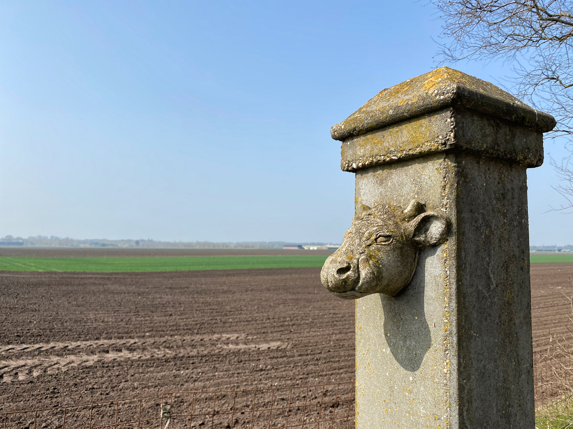 Wandelen in Noord-Brabant: Natuur bij Sterksel