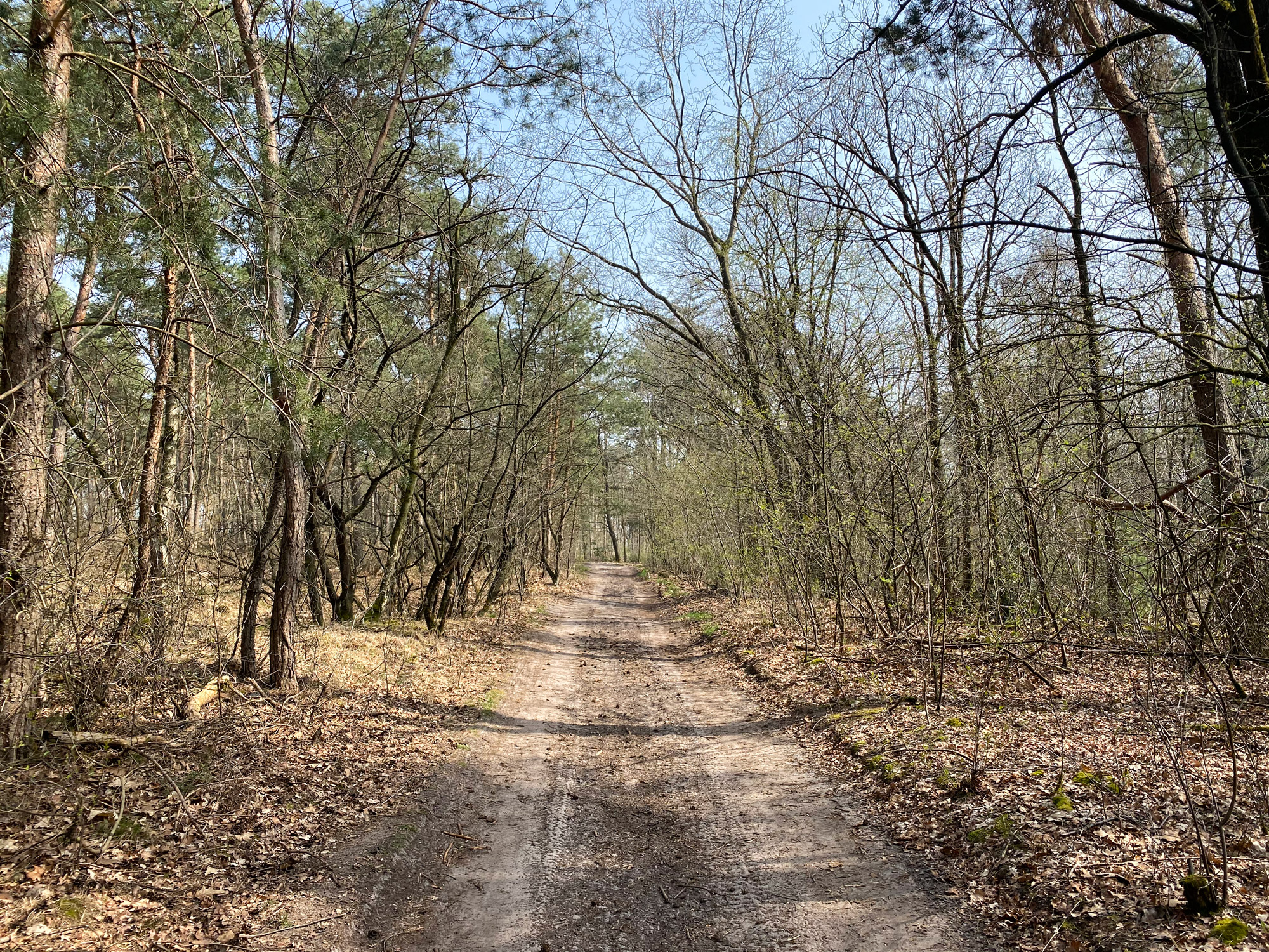 Wandelen in Noord-Brabant: Natuur bij Sterksel