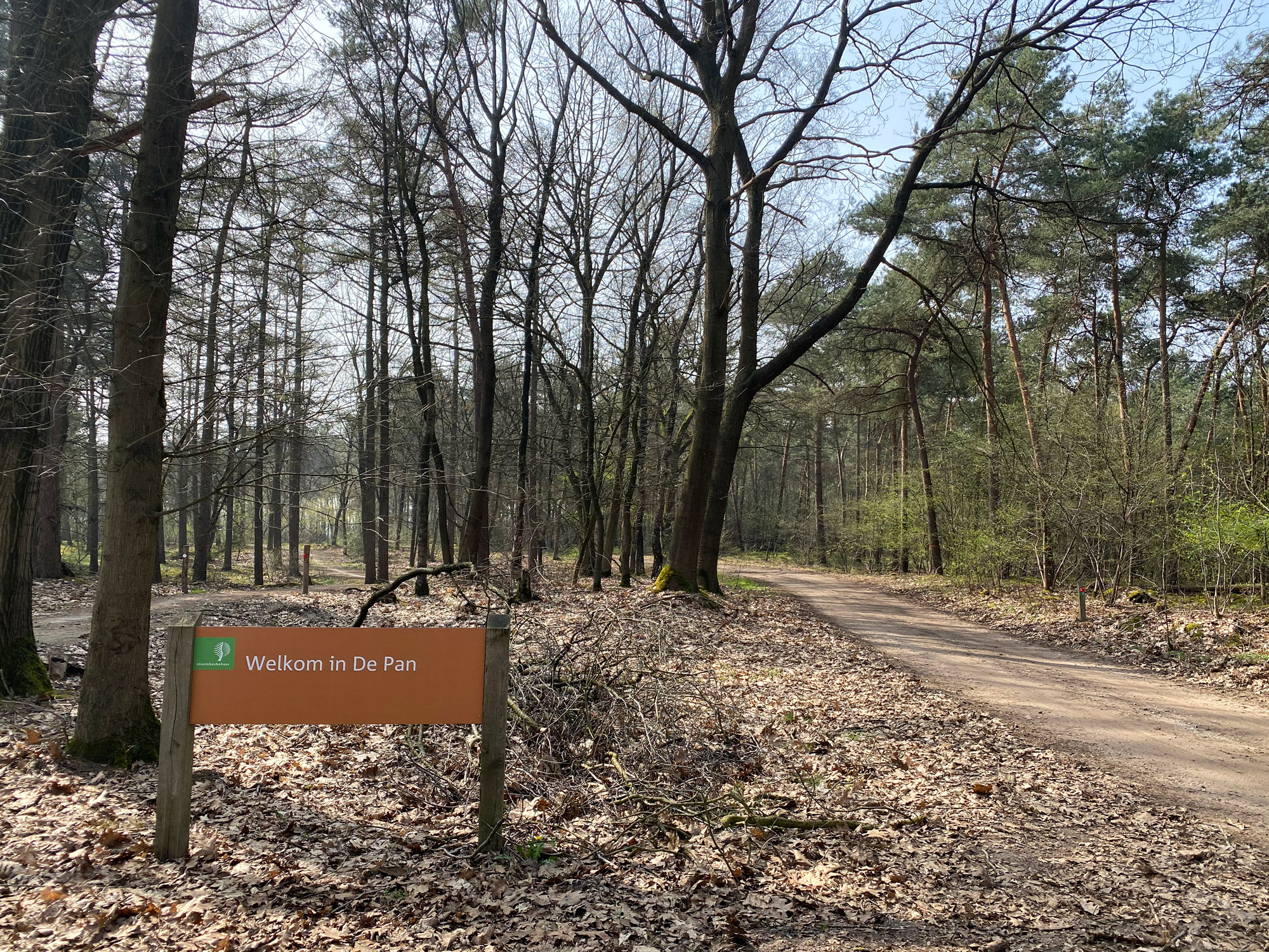 Wandelen in Noord-Brabant: Natuur bij Sterksel