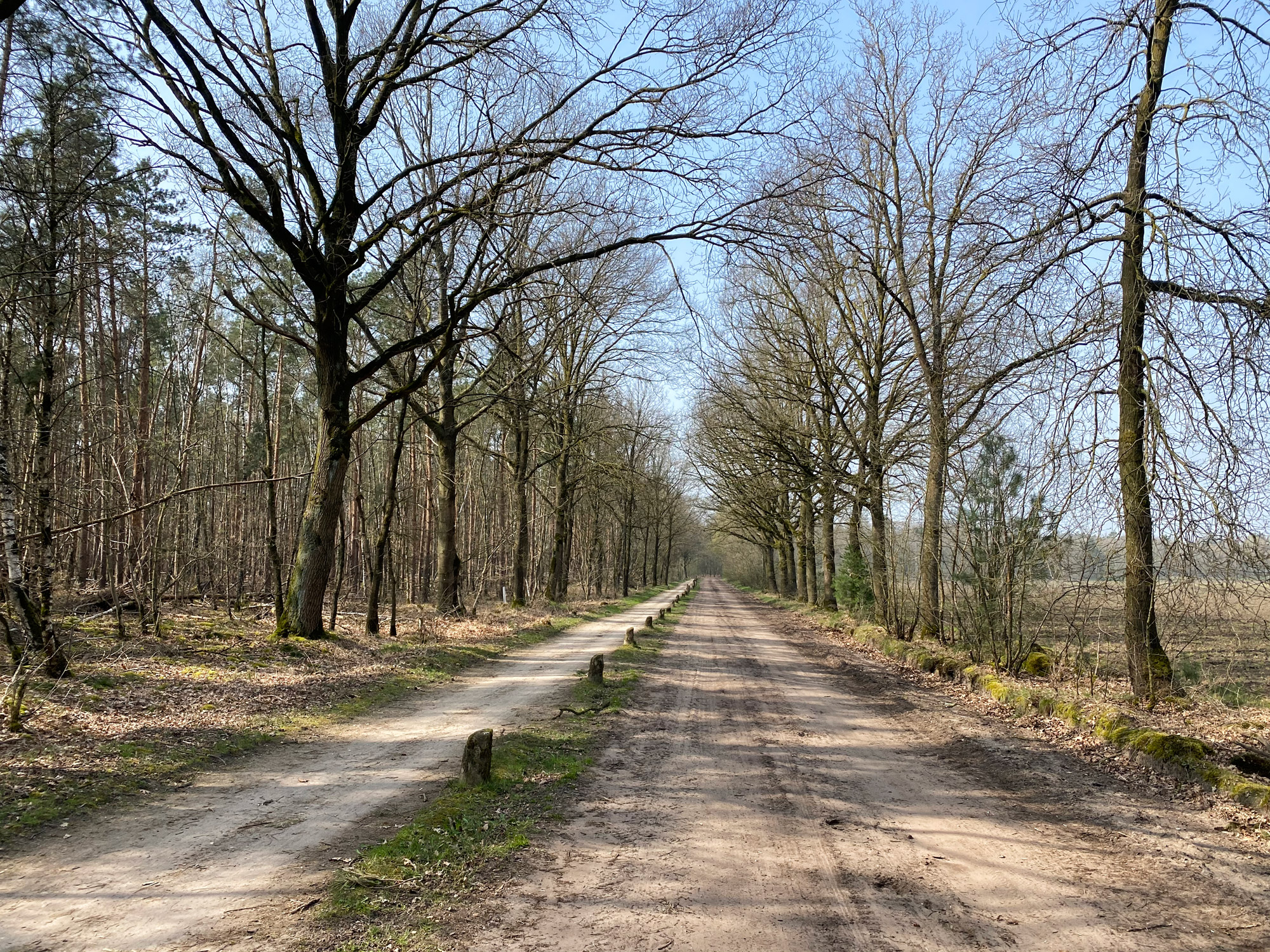 Wandelen in Noord-Brabant: Natuur bij Sterksel