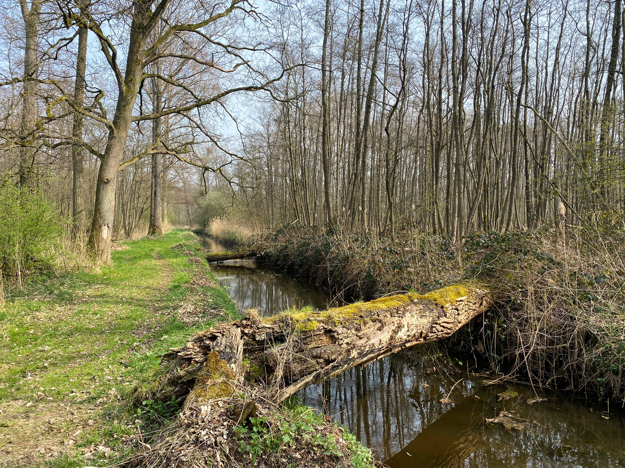 Wandelen in Noord-Brabant: Natuur bij Sterksel