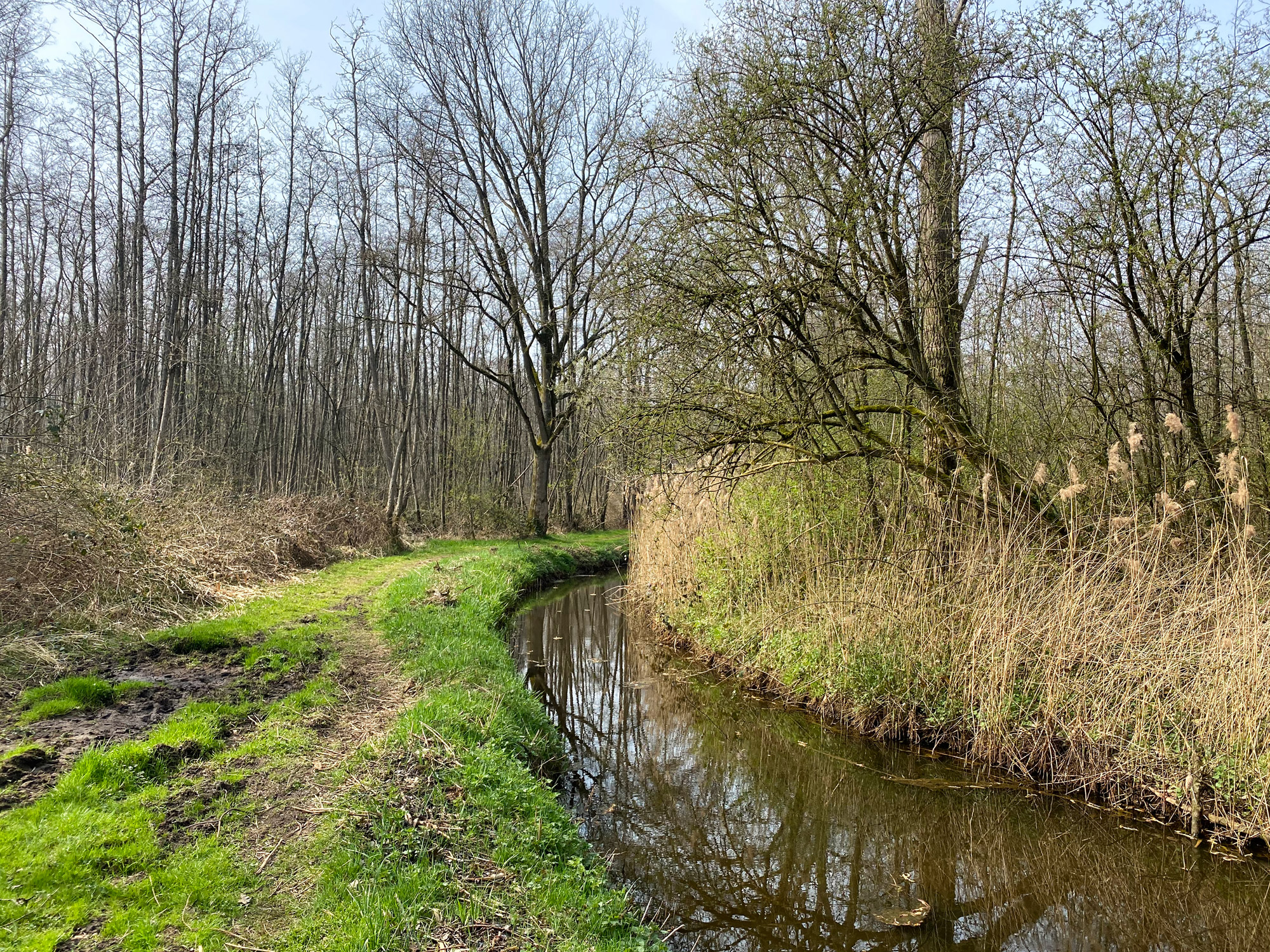 Wandelen in Noord-Brabant: Natuur bij Sterksel