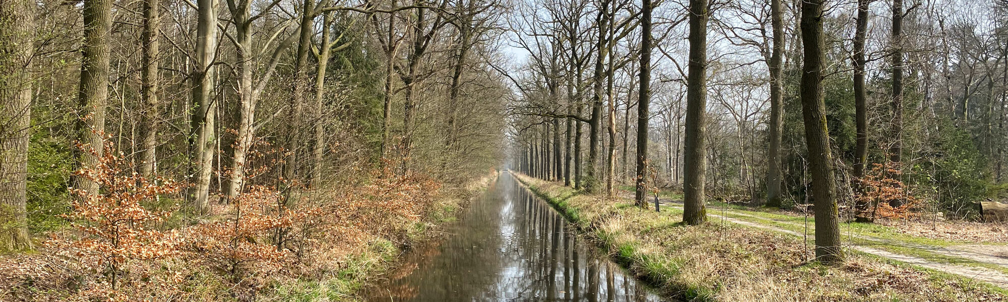 Wandelen in Noord-Brabant: Natuur bij Sterksel