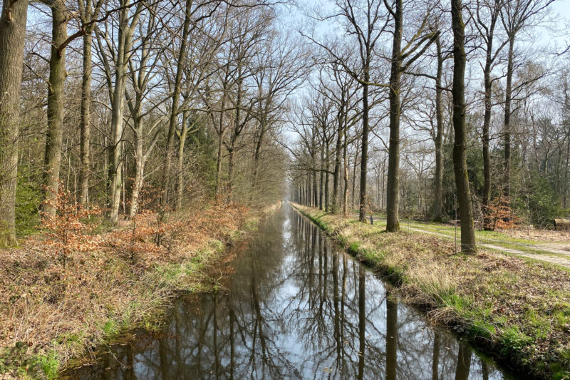 Wandelen in Noord-Brabant: Natuur bij Sterksel