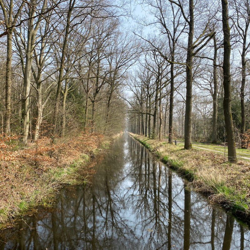 Wandelen in Noord-Brabant: Natuur bij Sterksel