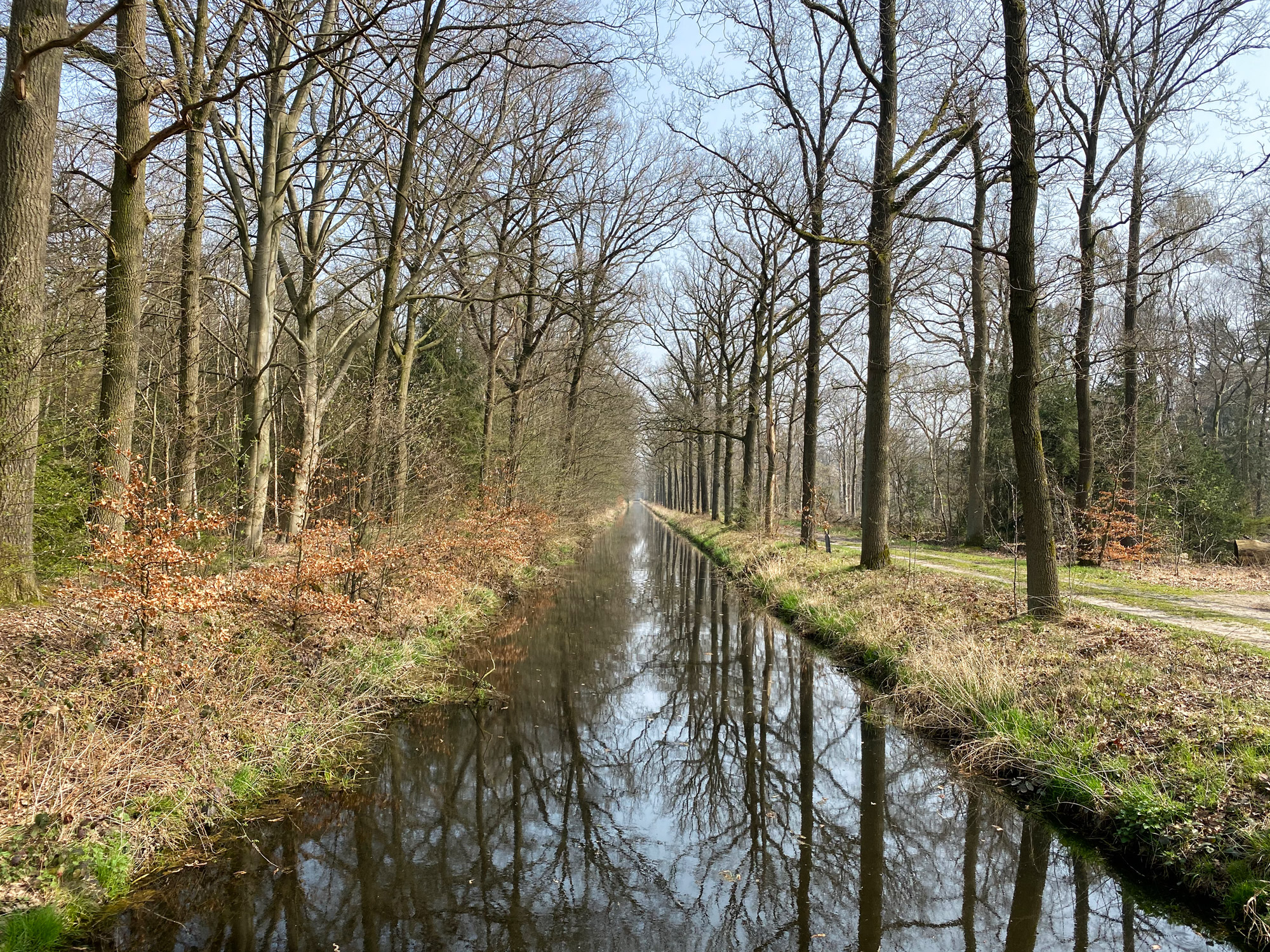 Wandelen in Noord-Brabant: Natuur bij Sterksel