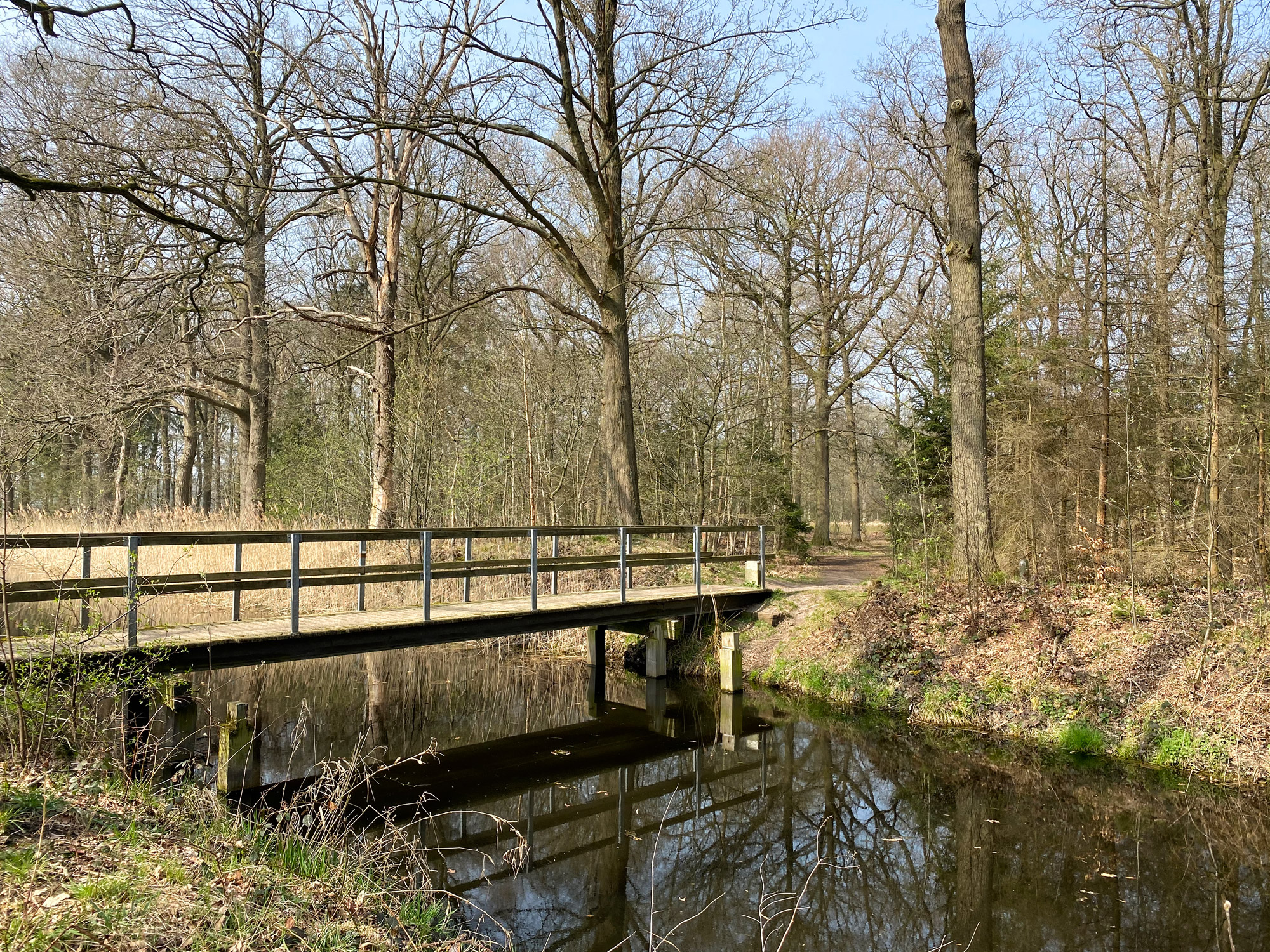 Wandelen in Noord-Brabant: Natuur bij Sterksel