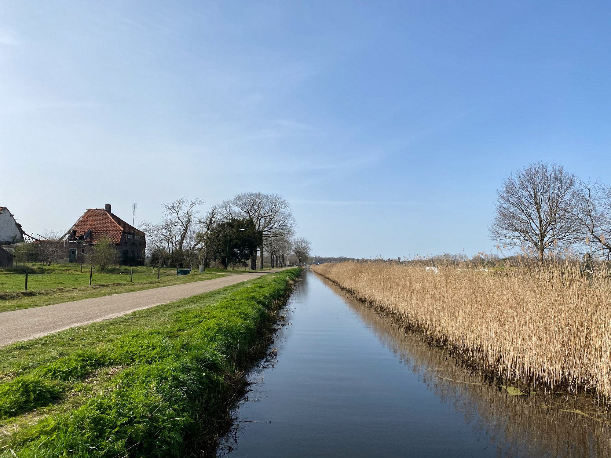 Wandelen in Noord-Brabant: Natuur bij Sterksel