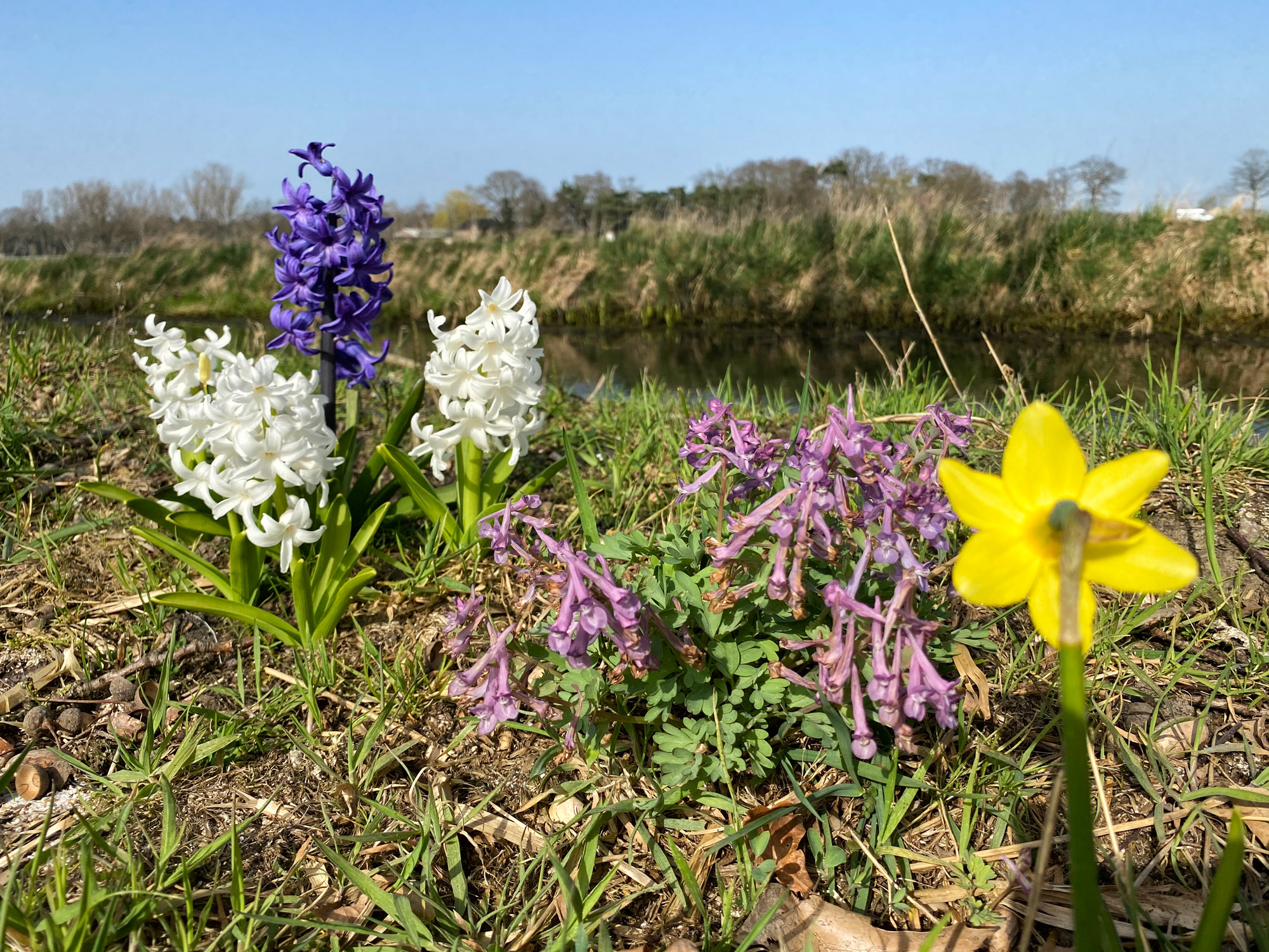 Wandelen in Noord-Brabant: Natuur bij Sterksel