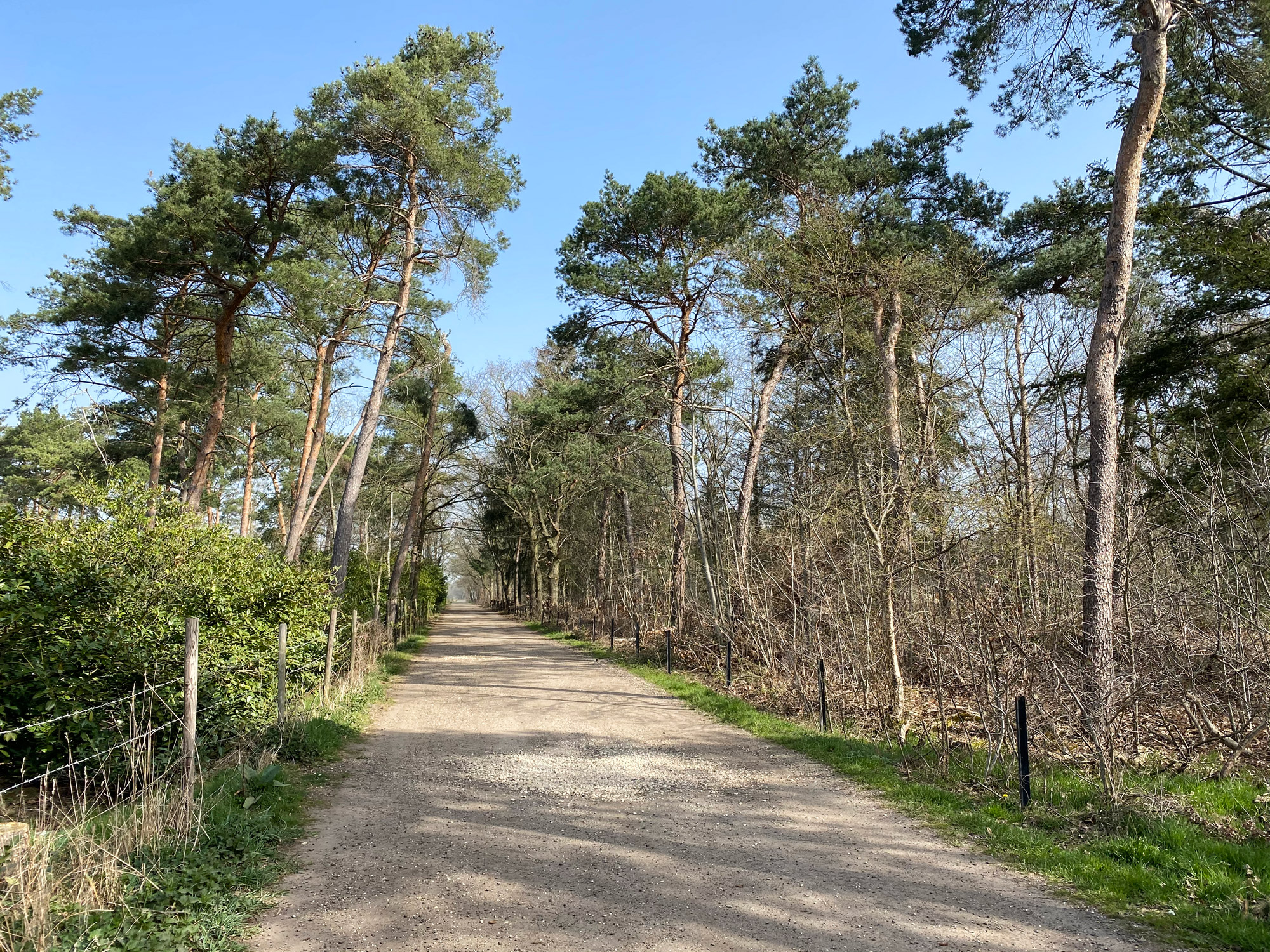 Wandelen in Noord-Brabant: Natuur bij Sterksel