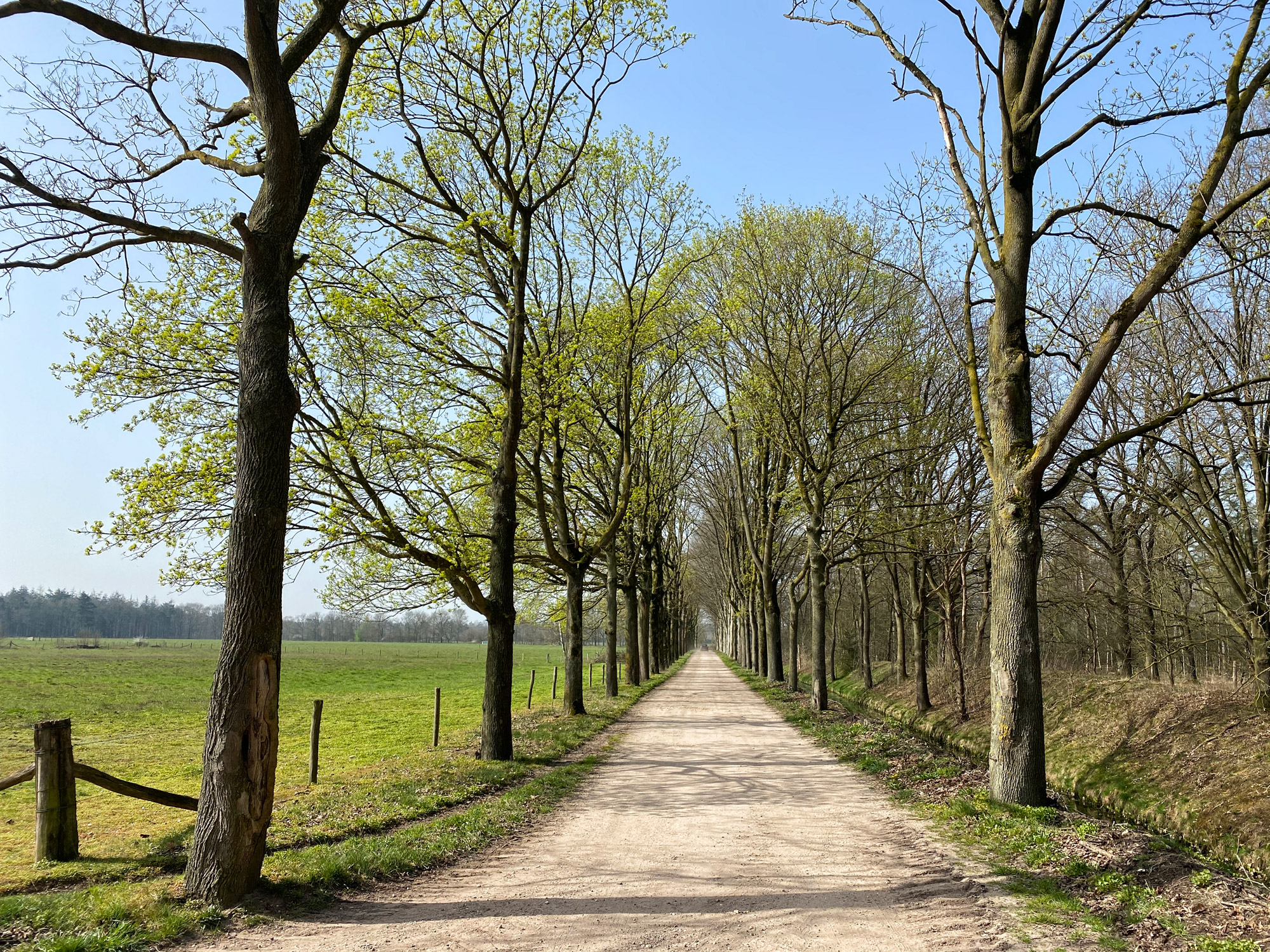 Wandelen in Noord-Brabant: Natuur bij Sterksel