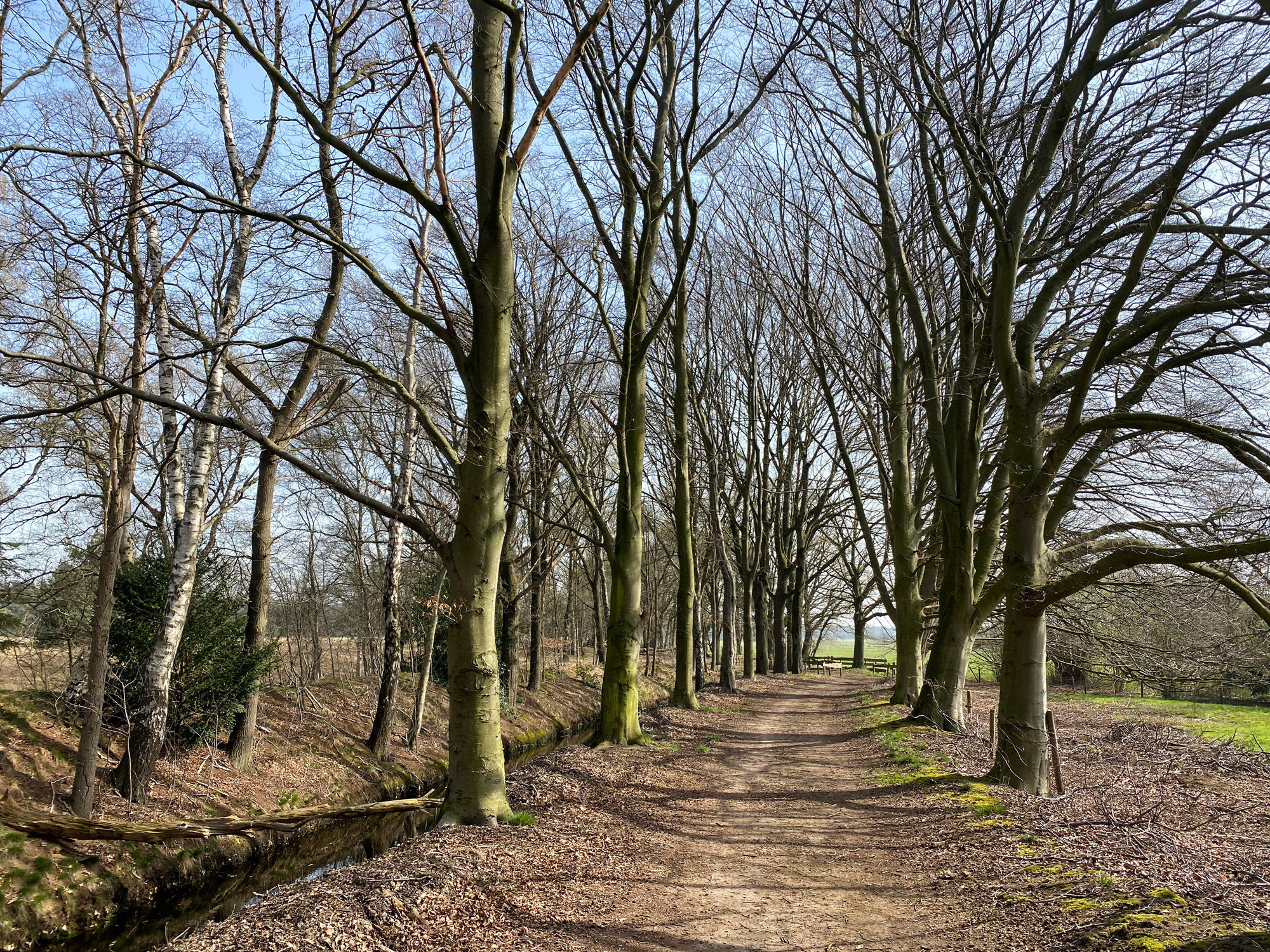 Wandelen in Noord-Brabant: Natuur bij Sterksel