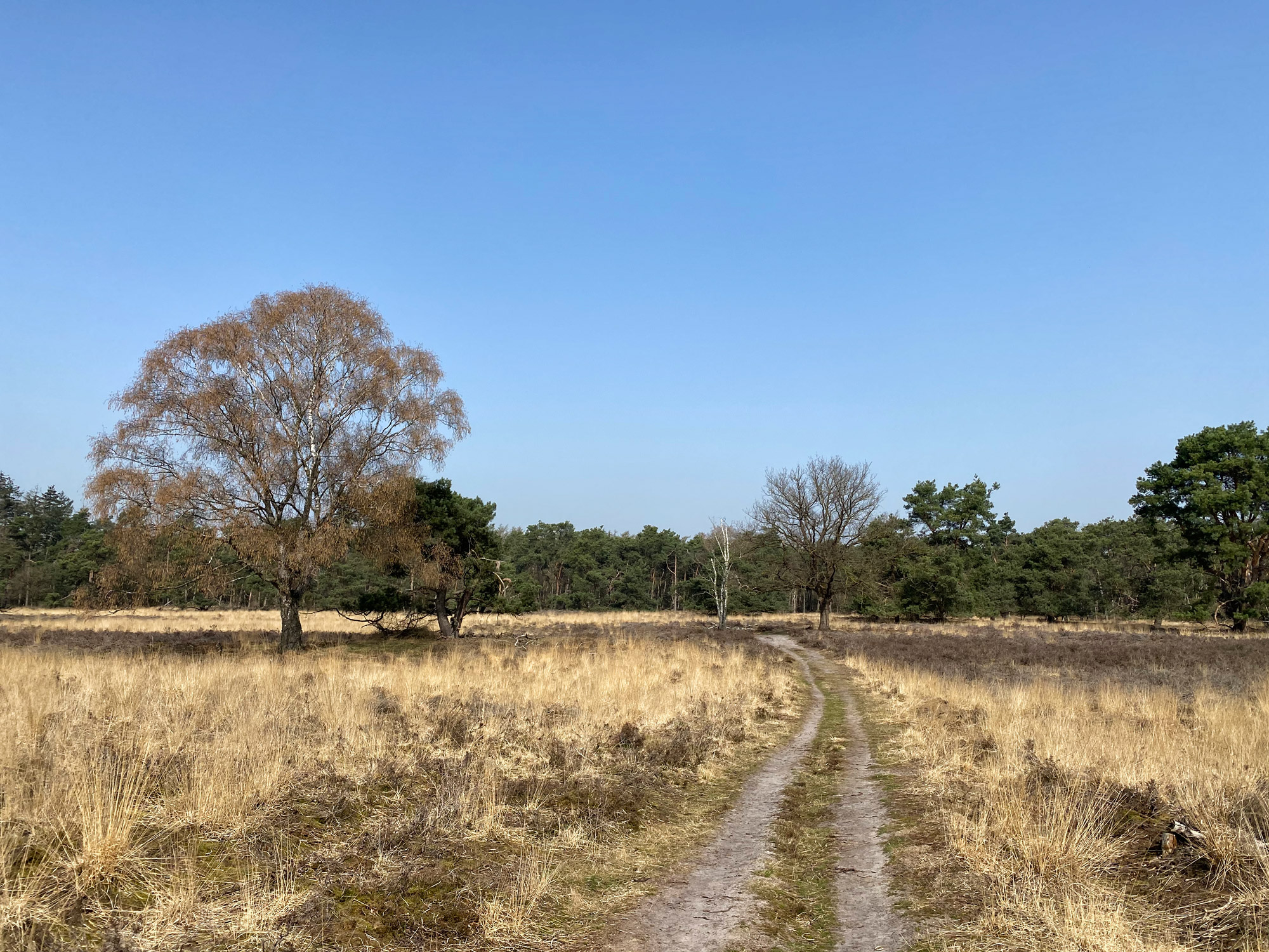 Wandelen in Noord-Brabant: Natuur bij Sterksel