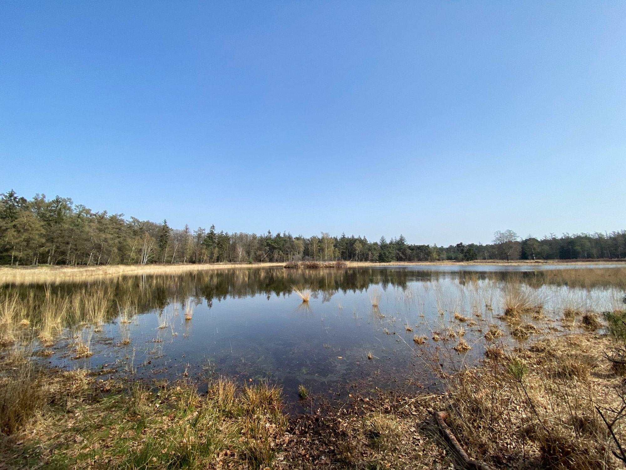 Wandelen in Noord-Brabant: Natuur bij Sterksel