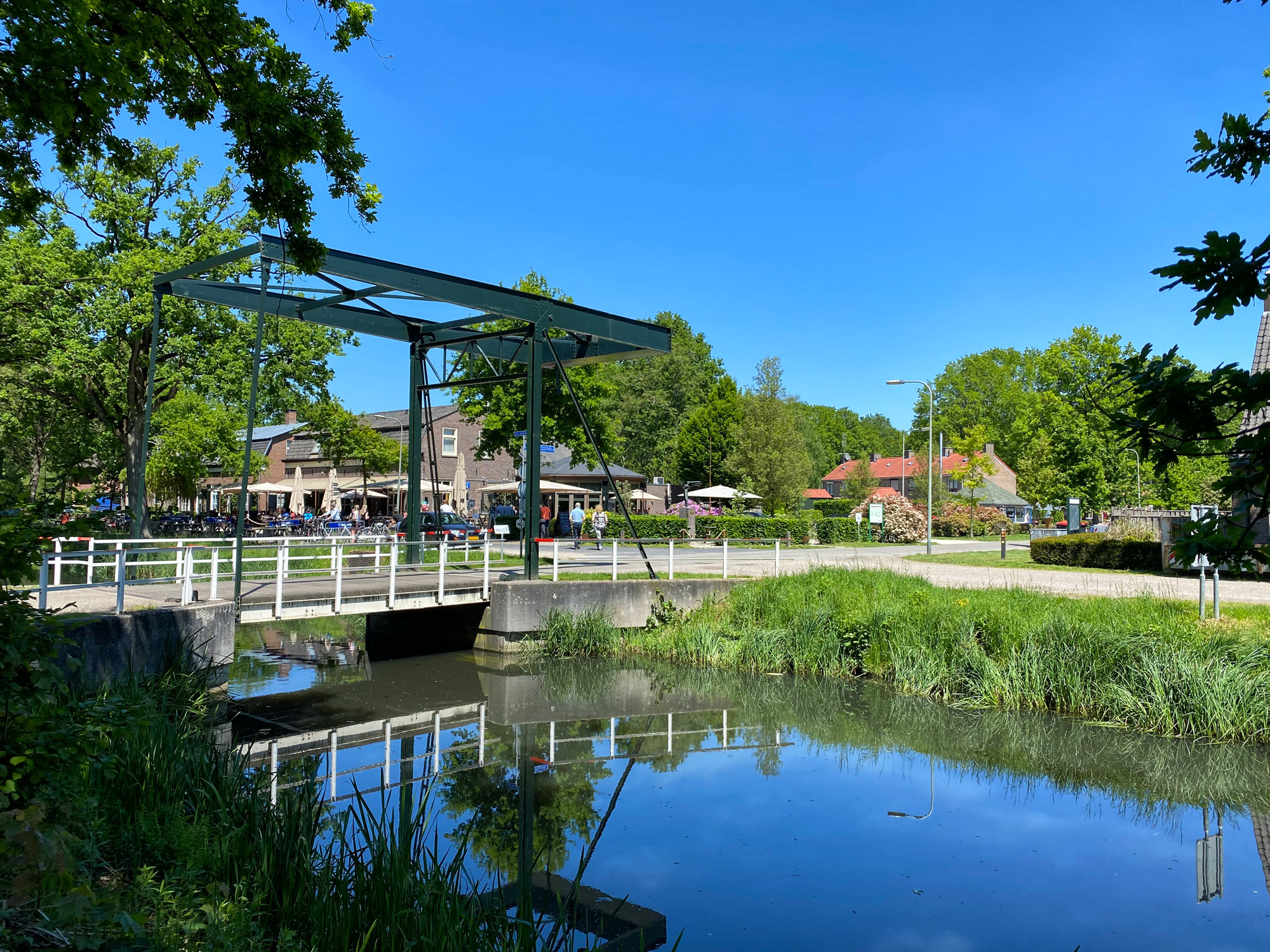 Wandelen in Noord-Brabant en Limburg: Rondje Griendtsveen