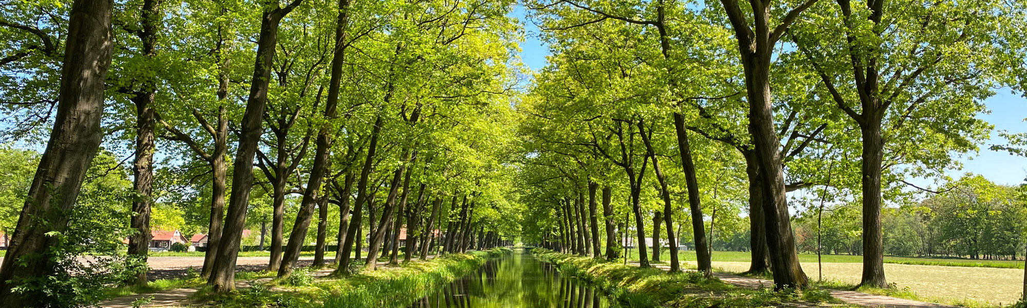 Wandelen in Noord-Brabant en Limburg: Rondje Griendtsveen