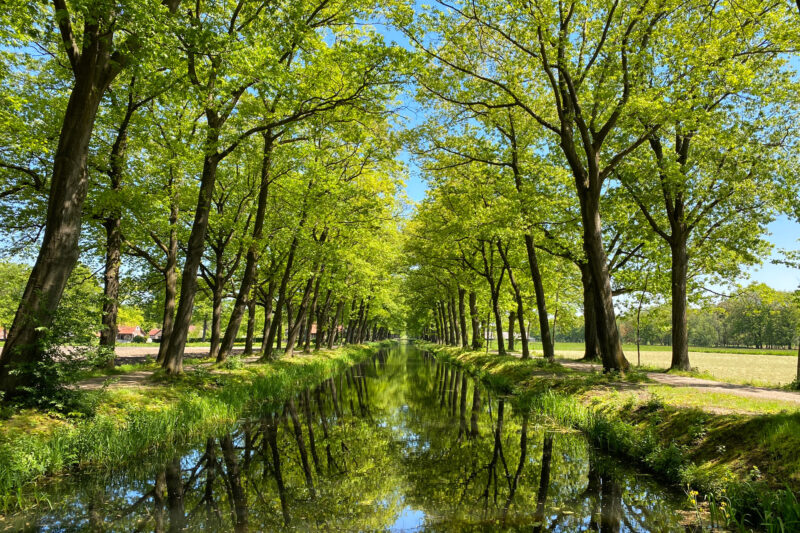 Wandelen in Noord-Brabant en Limburg: Rondje Griendtsveen