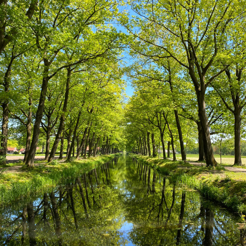 Wandelen in Noord-Brabant en Limburg: Rondje Griendtsveen