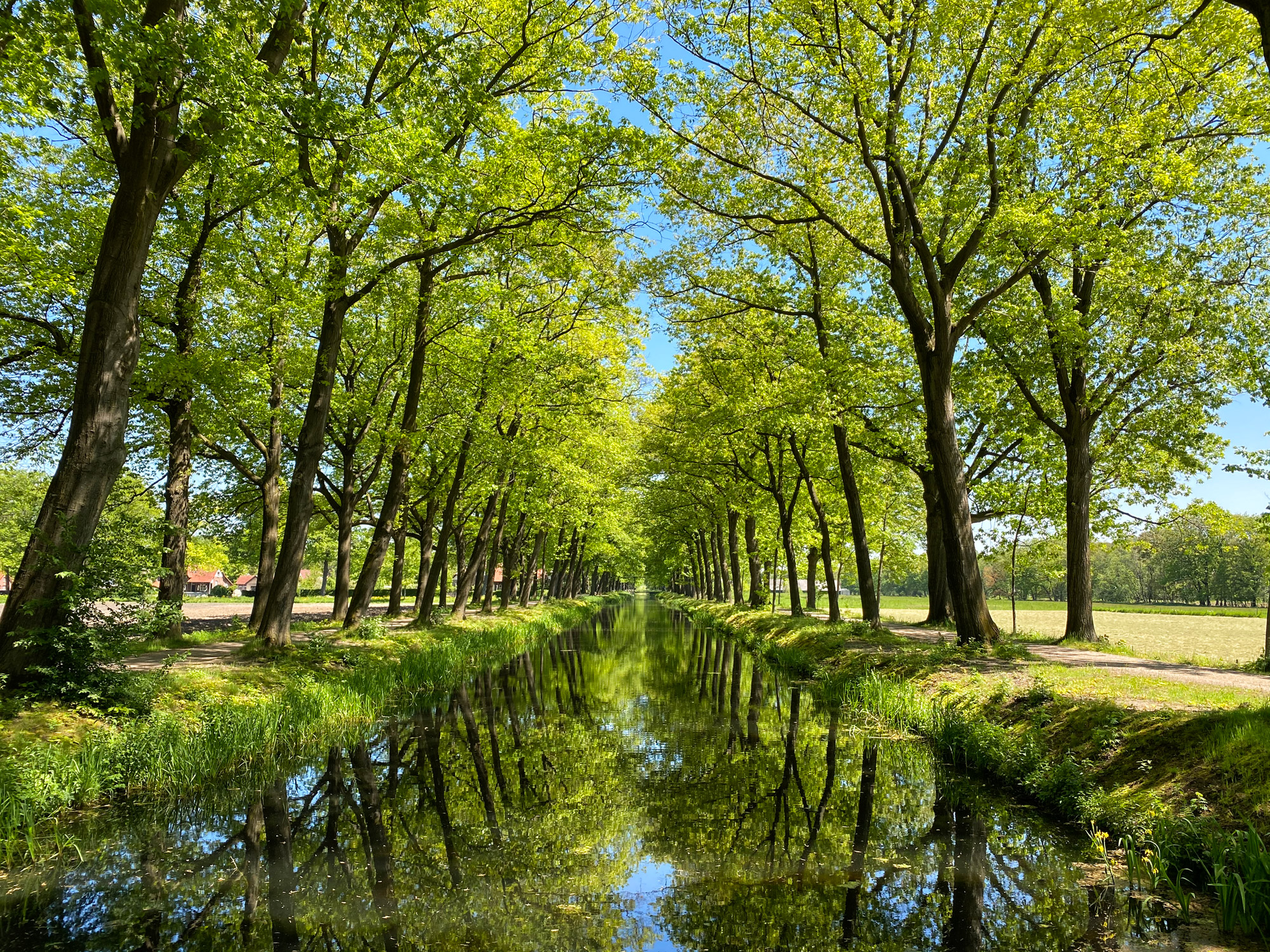 Wandelen in Noord-Brabant en Limburg: Rondje Griendtsveen