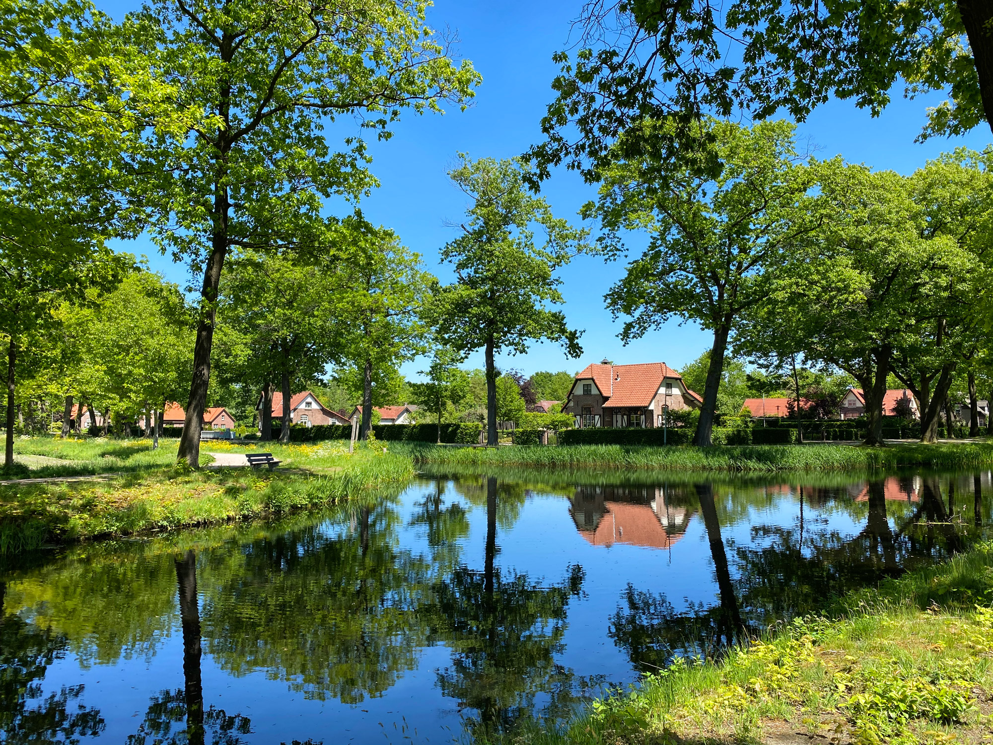 Wandelen in Noord-Brabant en Limburg: Rondje Griendtsveen