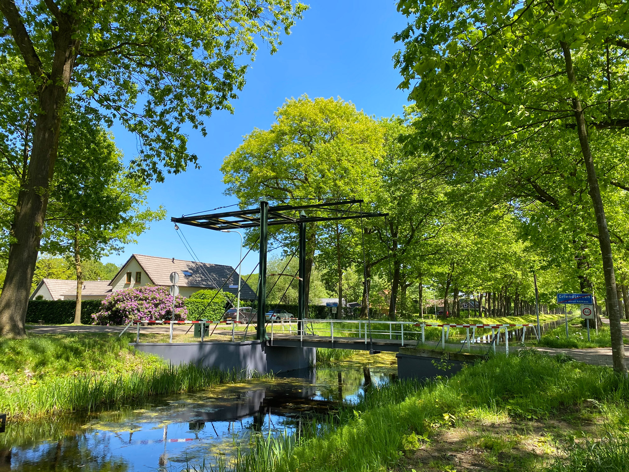 Wandelen in Noord-Brabant en Limburg: Rondje Griendtsveen