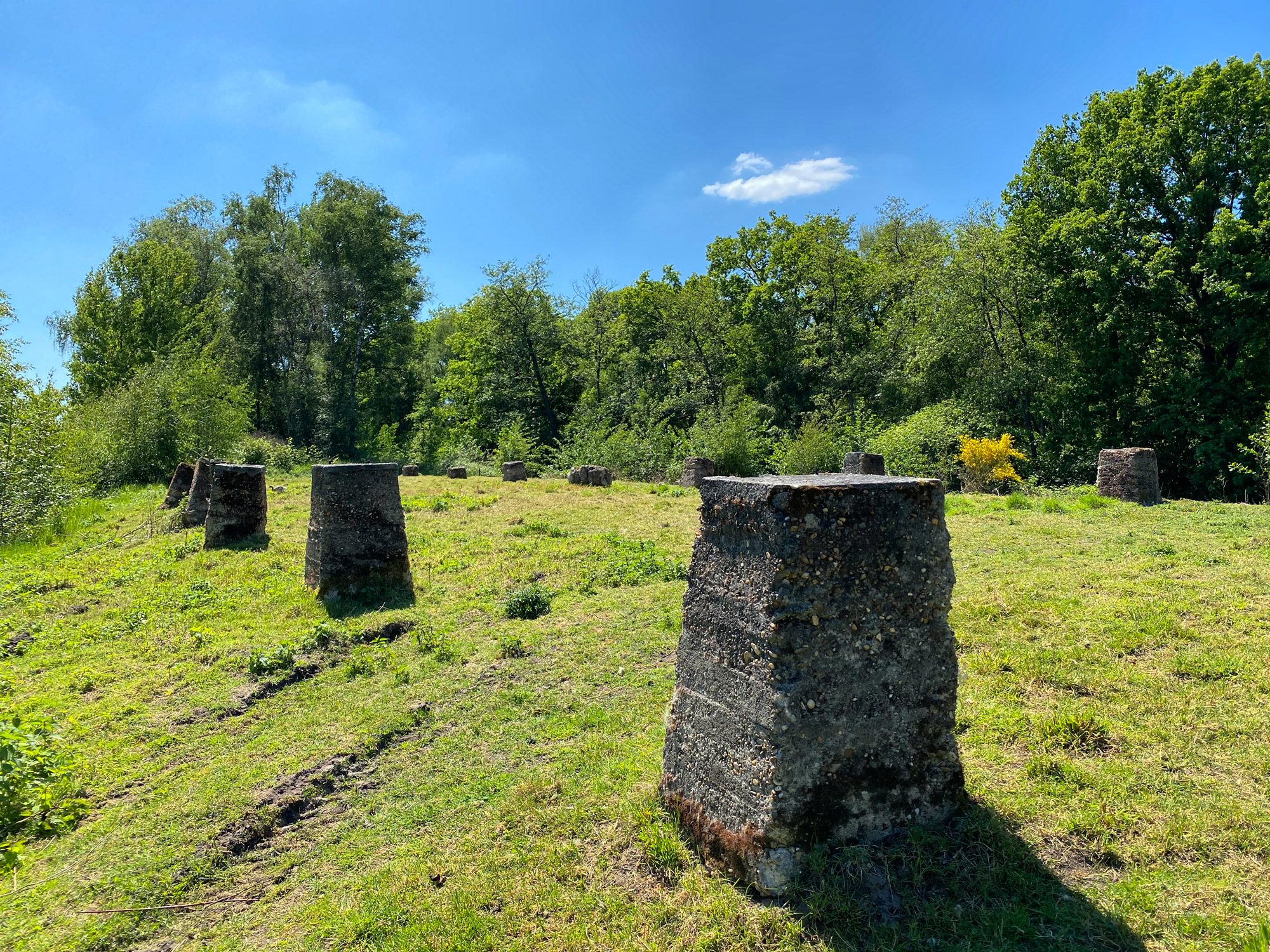 Wandelen in Noord-Brabant en Limburg: Rondje Griendtsveen