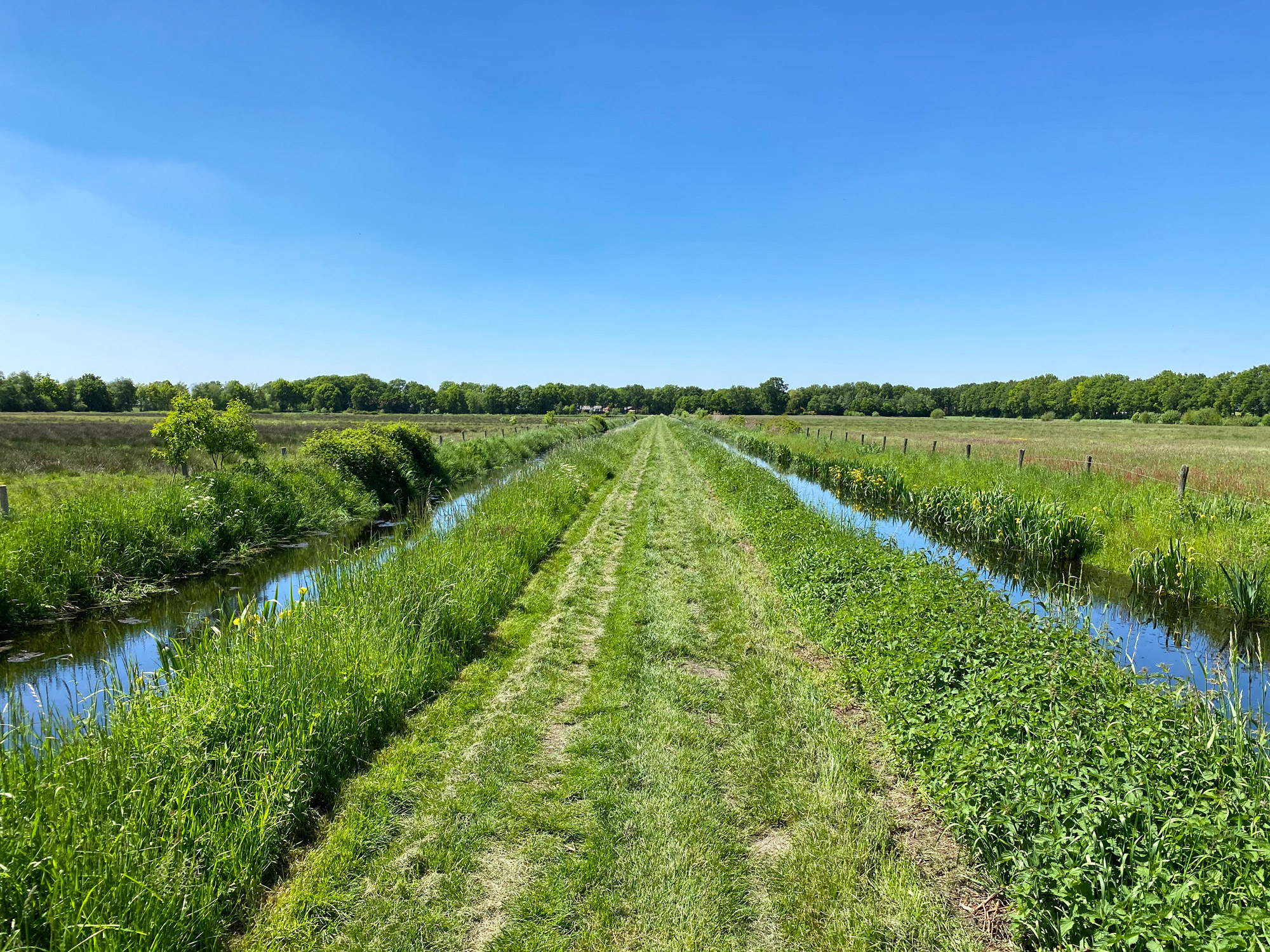 Wandelen in Noord-Brabant en Limburg: Rondje Griendtsveen