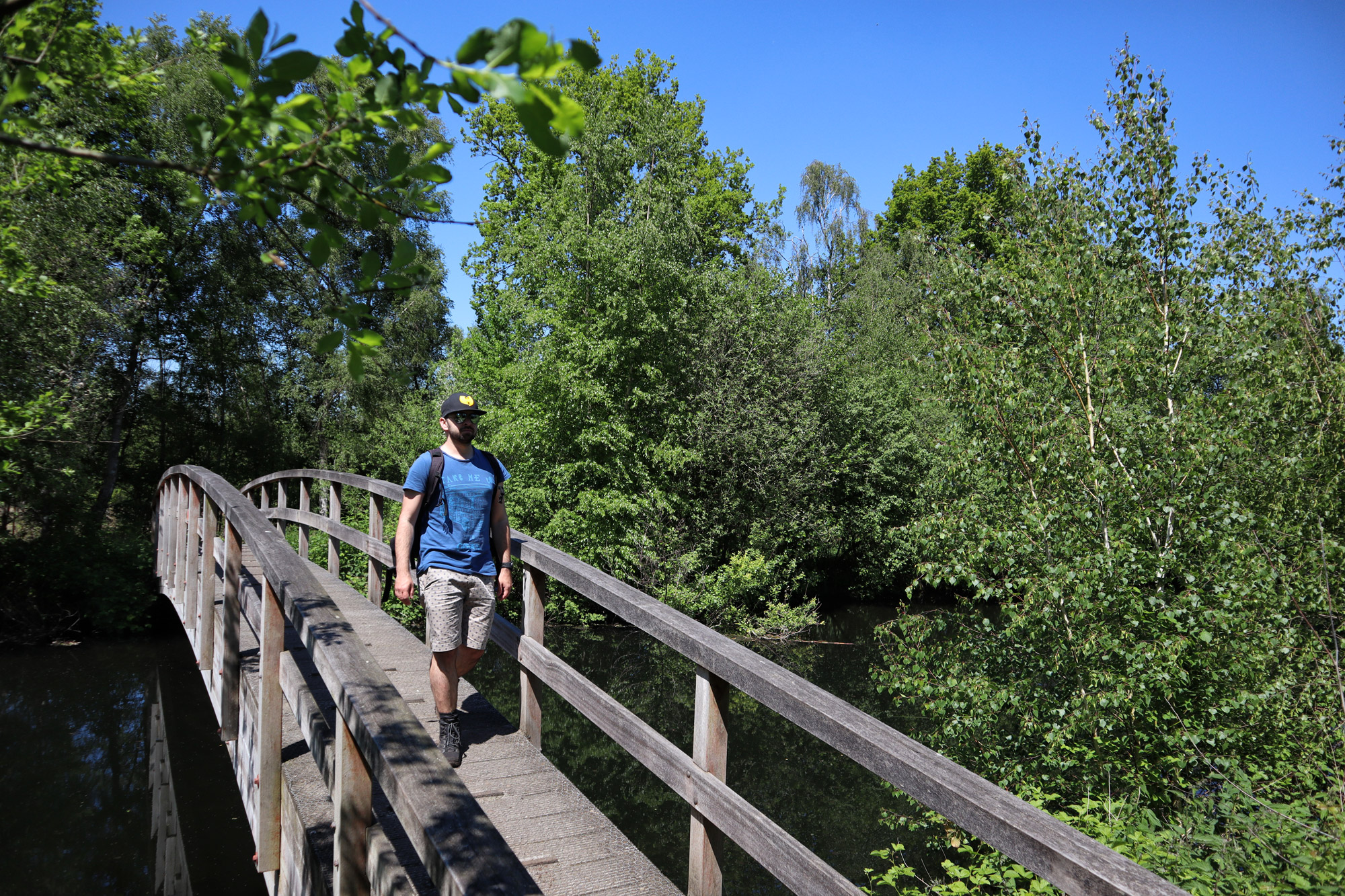 Wandelen in Noord-Brabant en Limburg: Rondje Griendtsveen