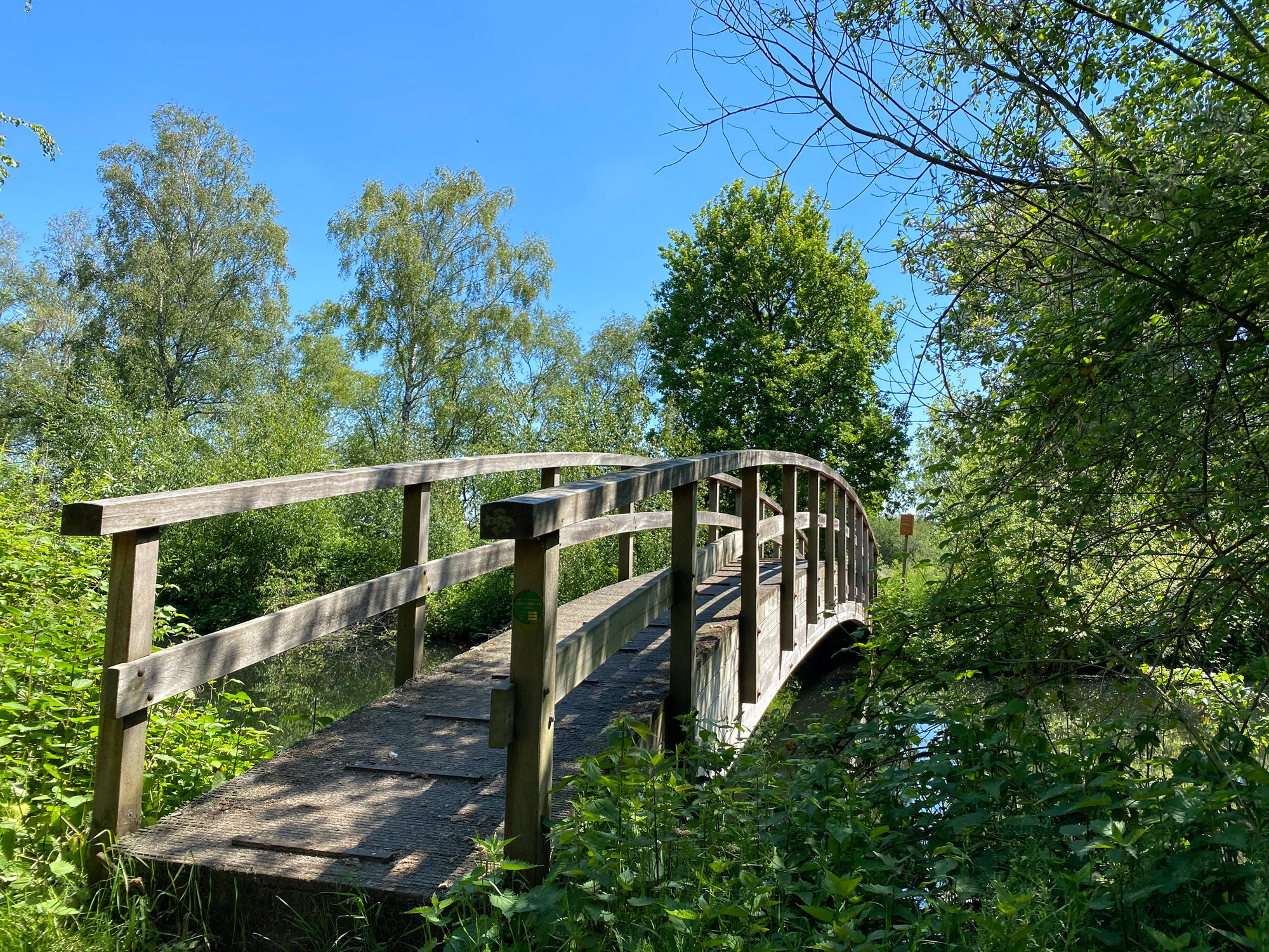 Wandelen in Noord-Brabant en Limburg: Rondje Griendtsveen