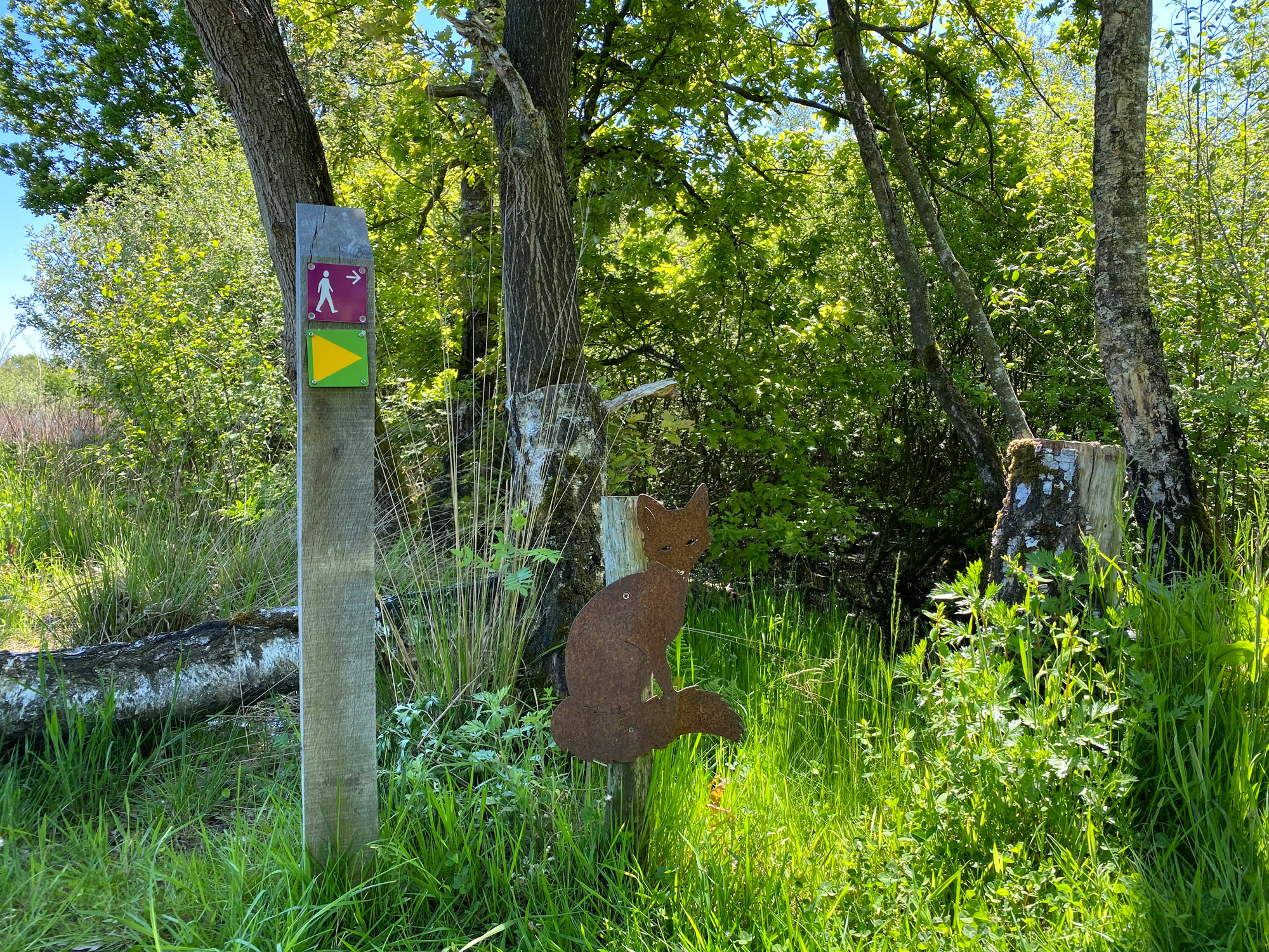 Wandelen in Noord-Brabant en Limburg: Rondje Griendtsveen